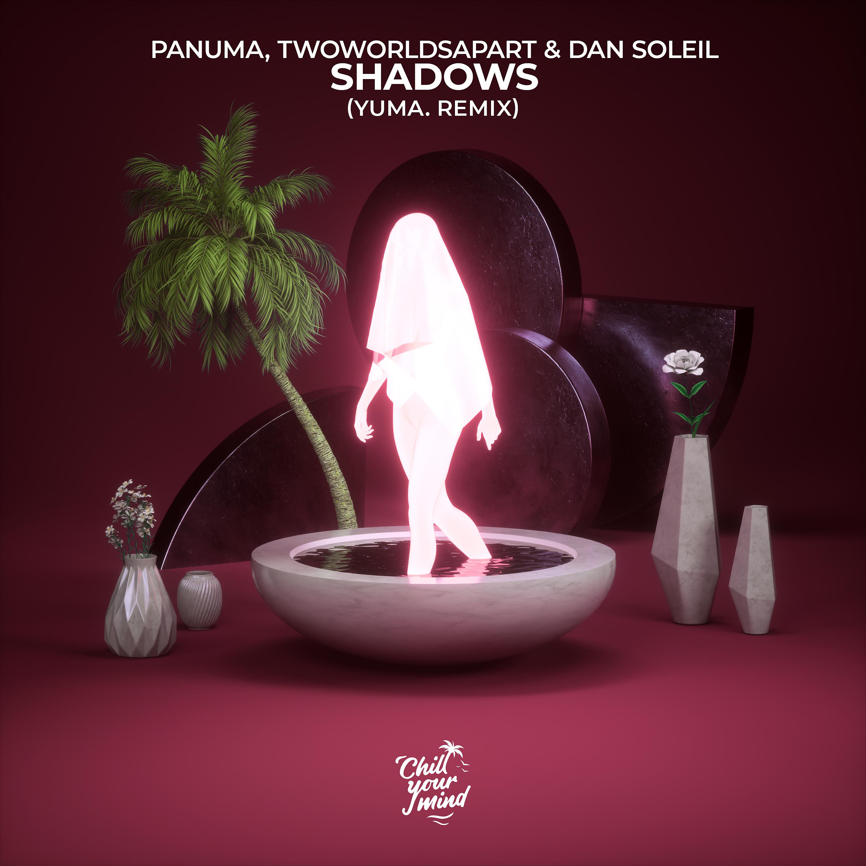 Постер альбома Shadows (yuma. Remix)