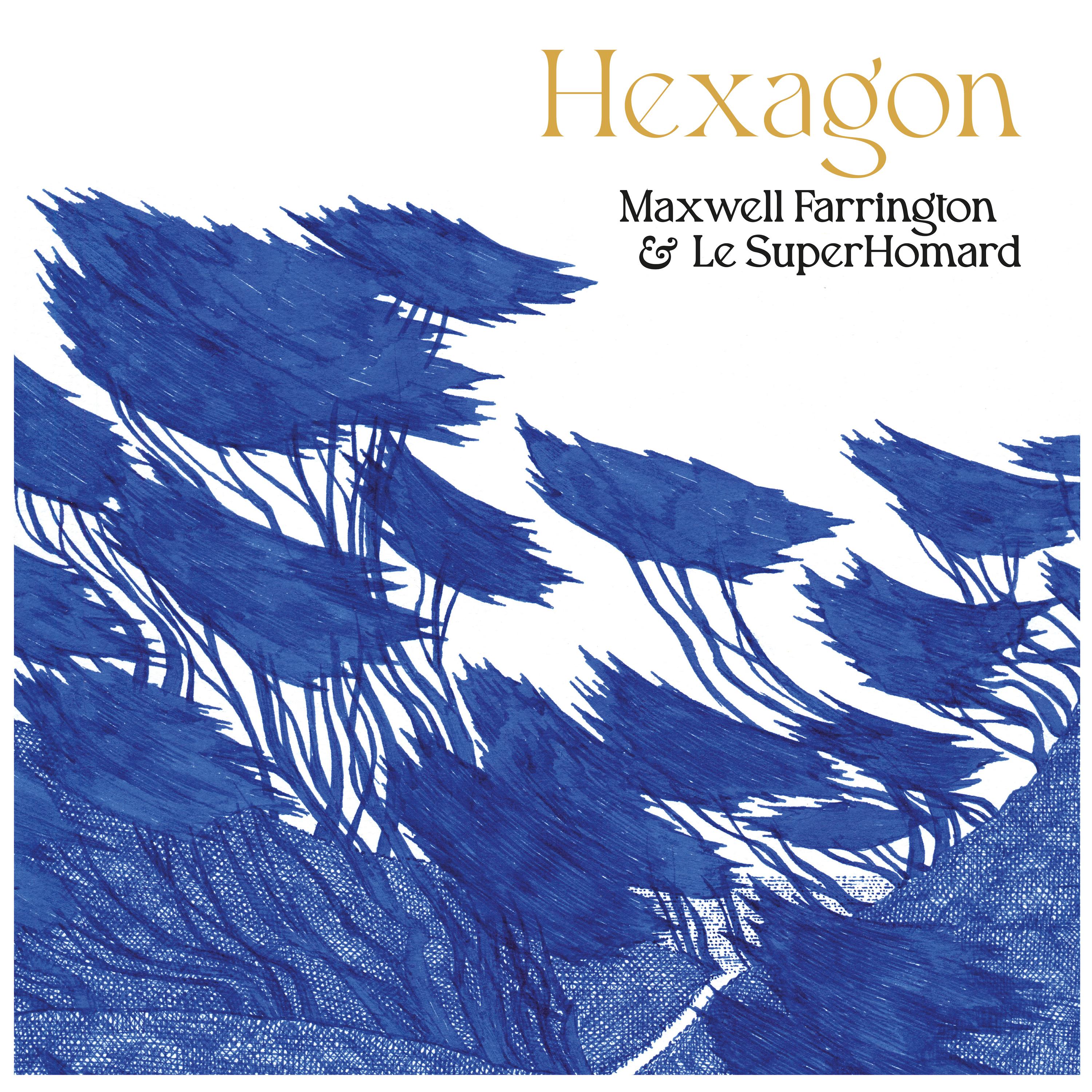 Постер альбома Hexagon