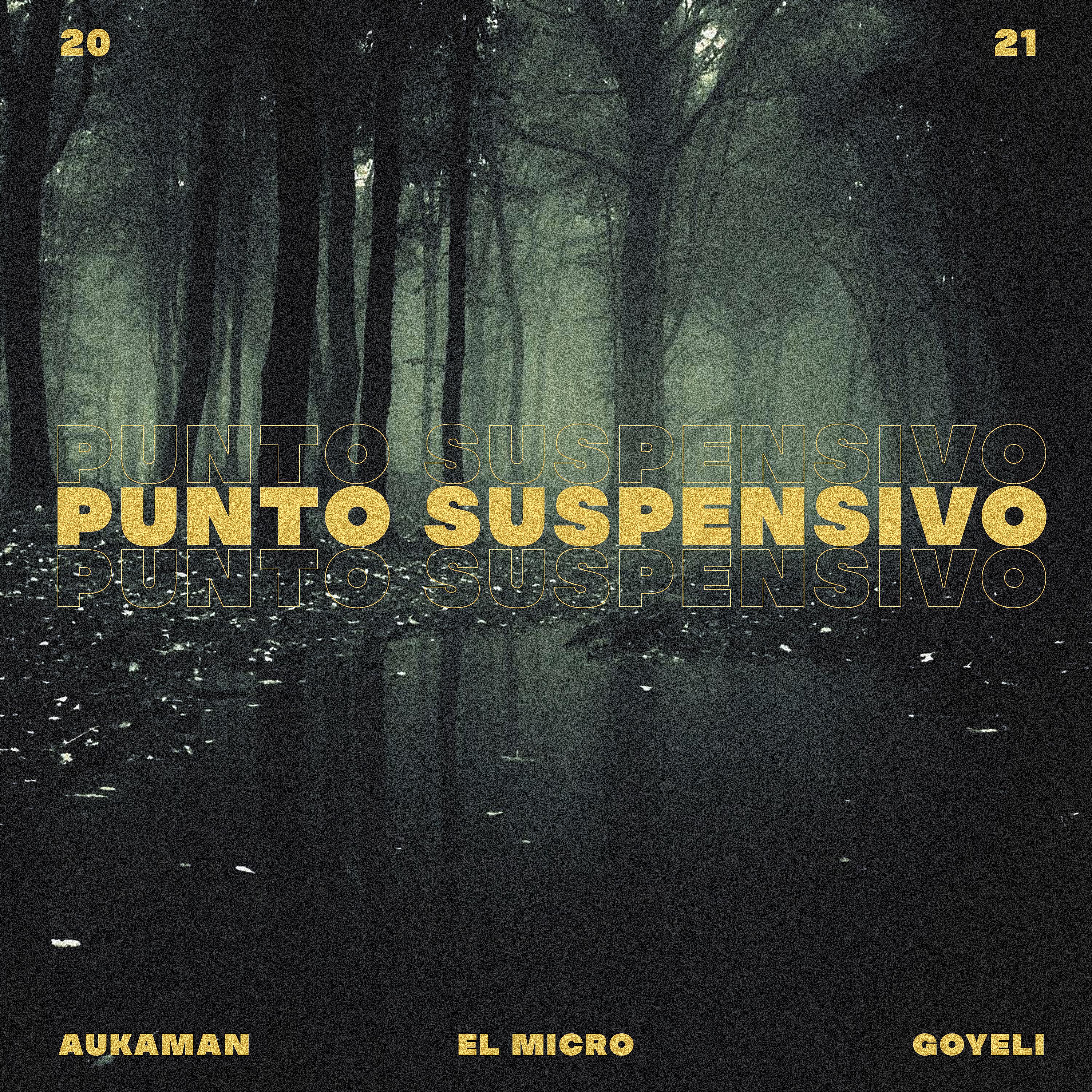 Постер альбома Punto Suspensivo