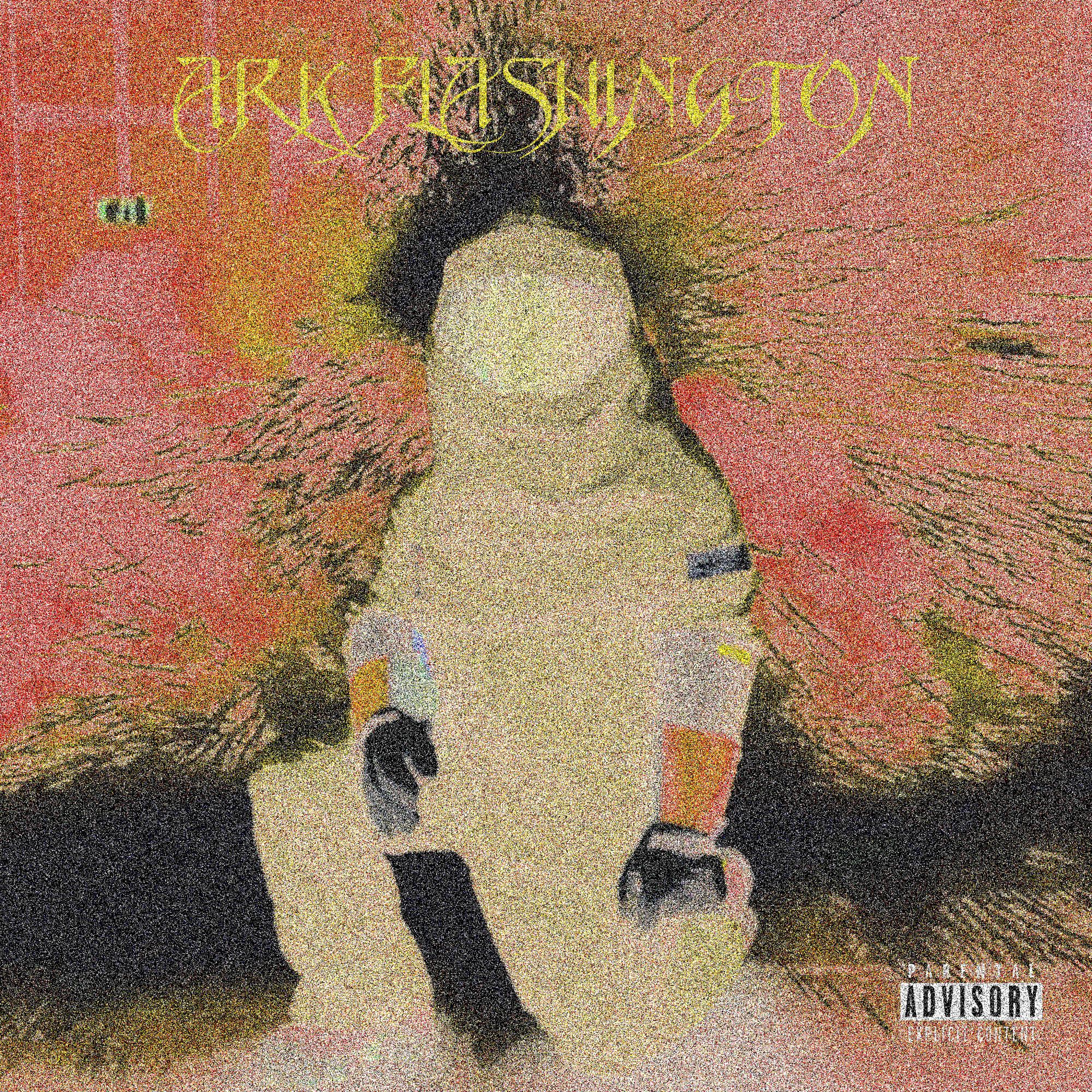 Постер альбома Ark Flashington