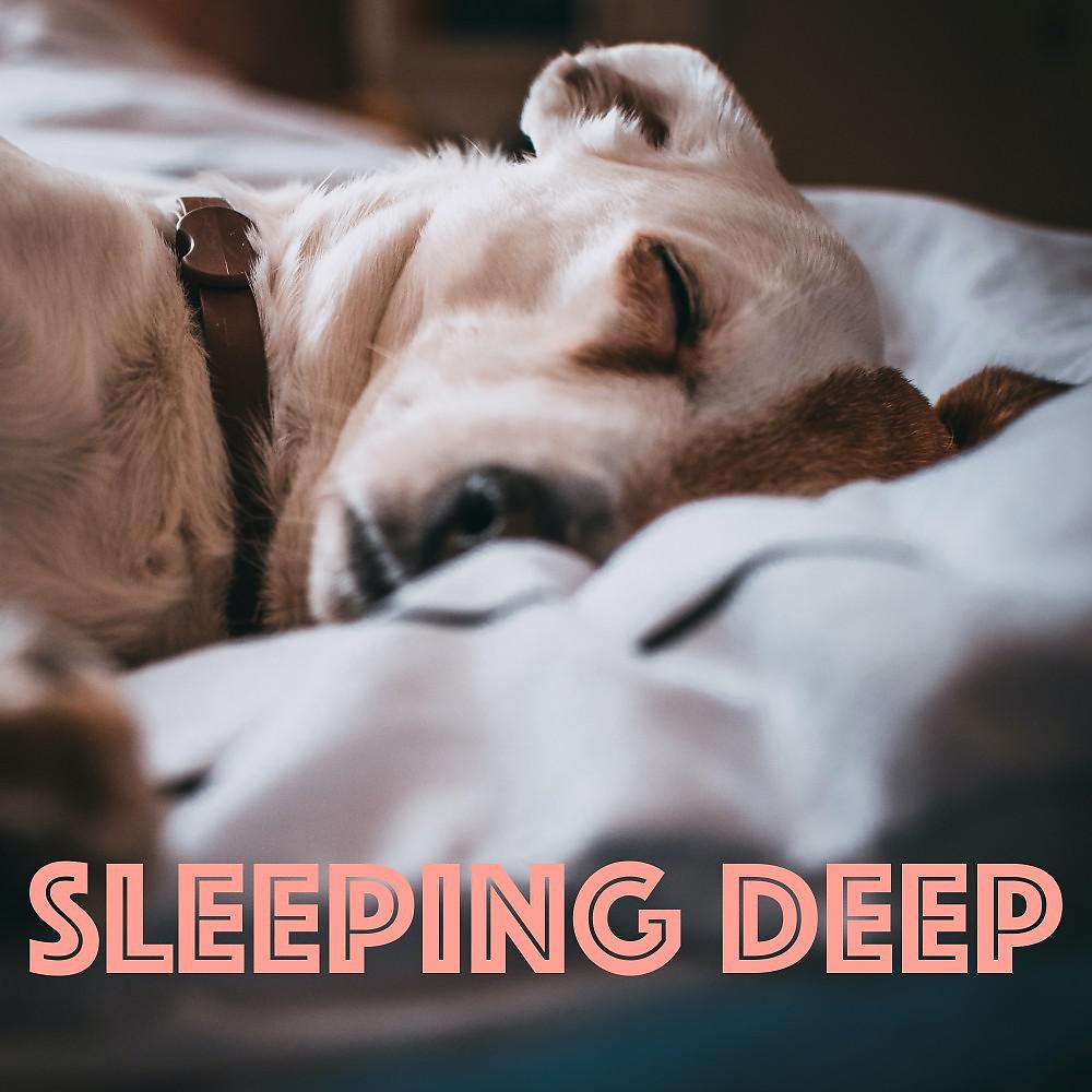 Постер альбома Sleeping Deep