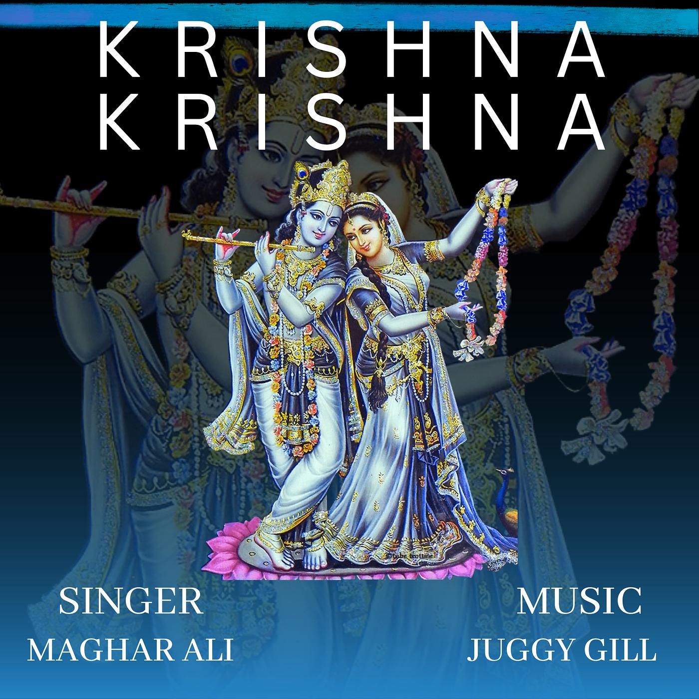 Постер альбома Krishna Krishna