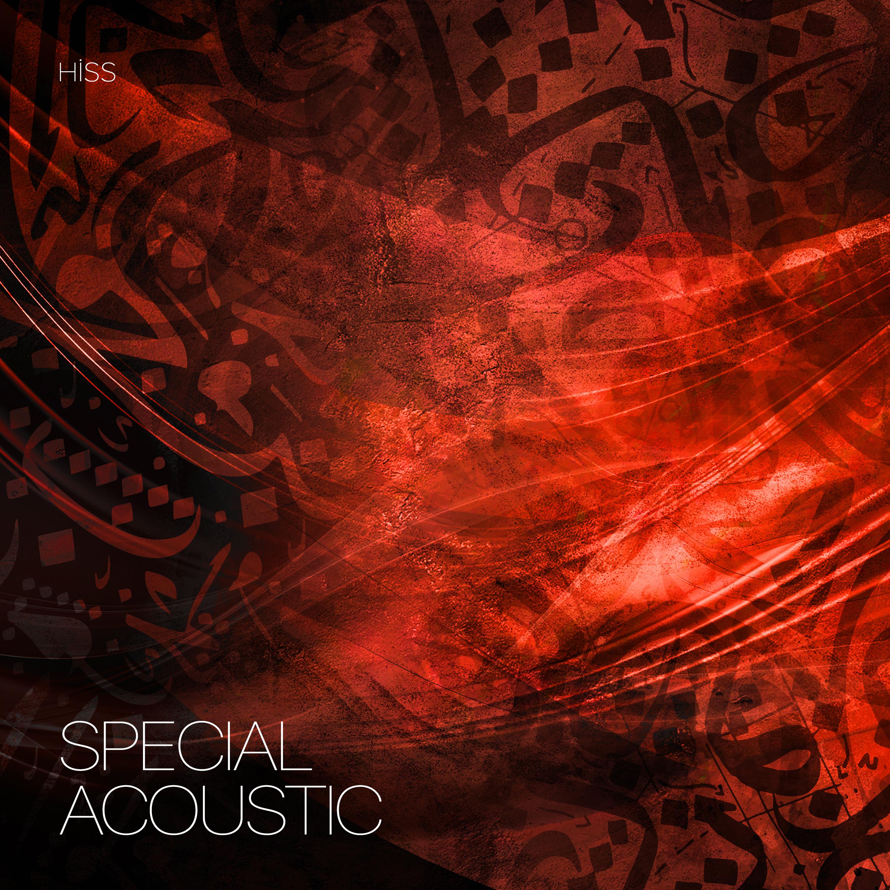 Постер альбома Special Acoustic