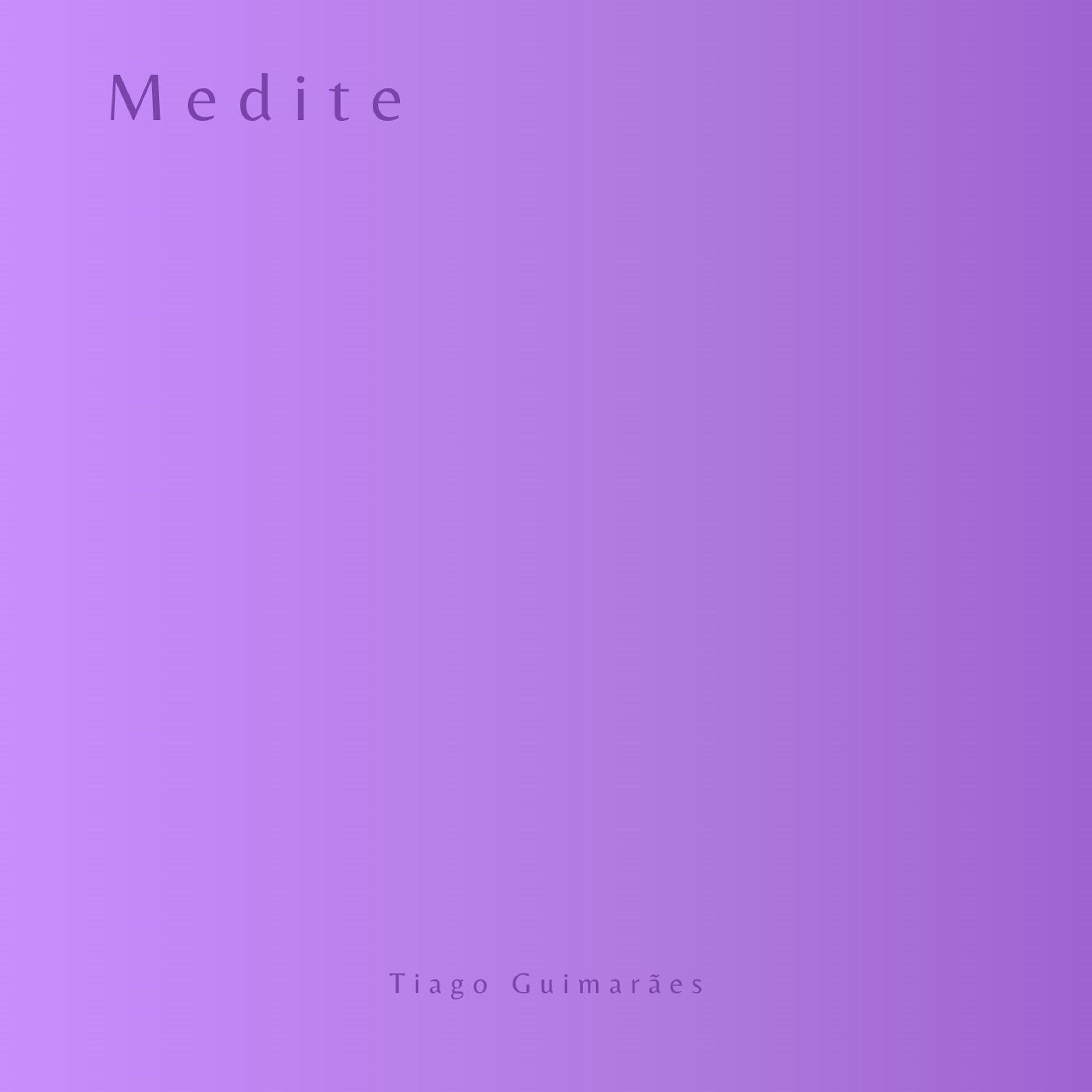 Постер альбома Medite