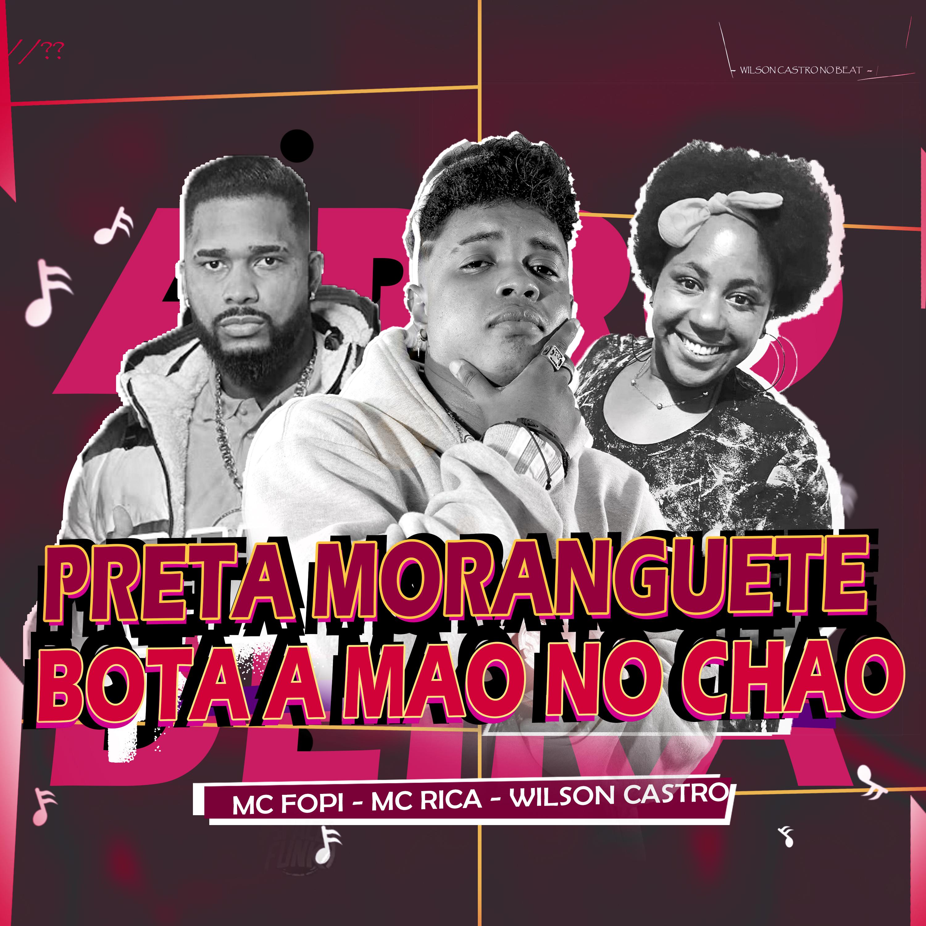 Постер альбома Preta Moranguete X Bota a Mão no Chão