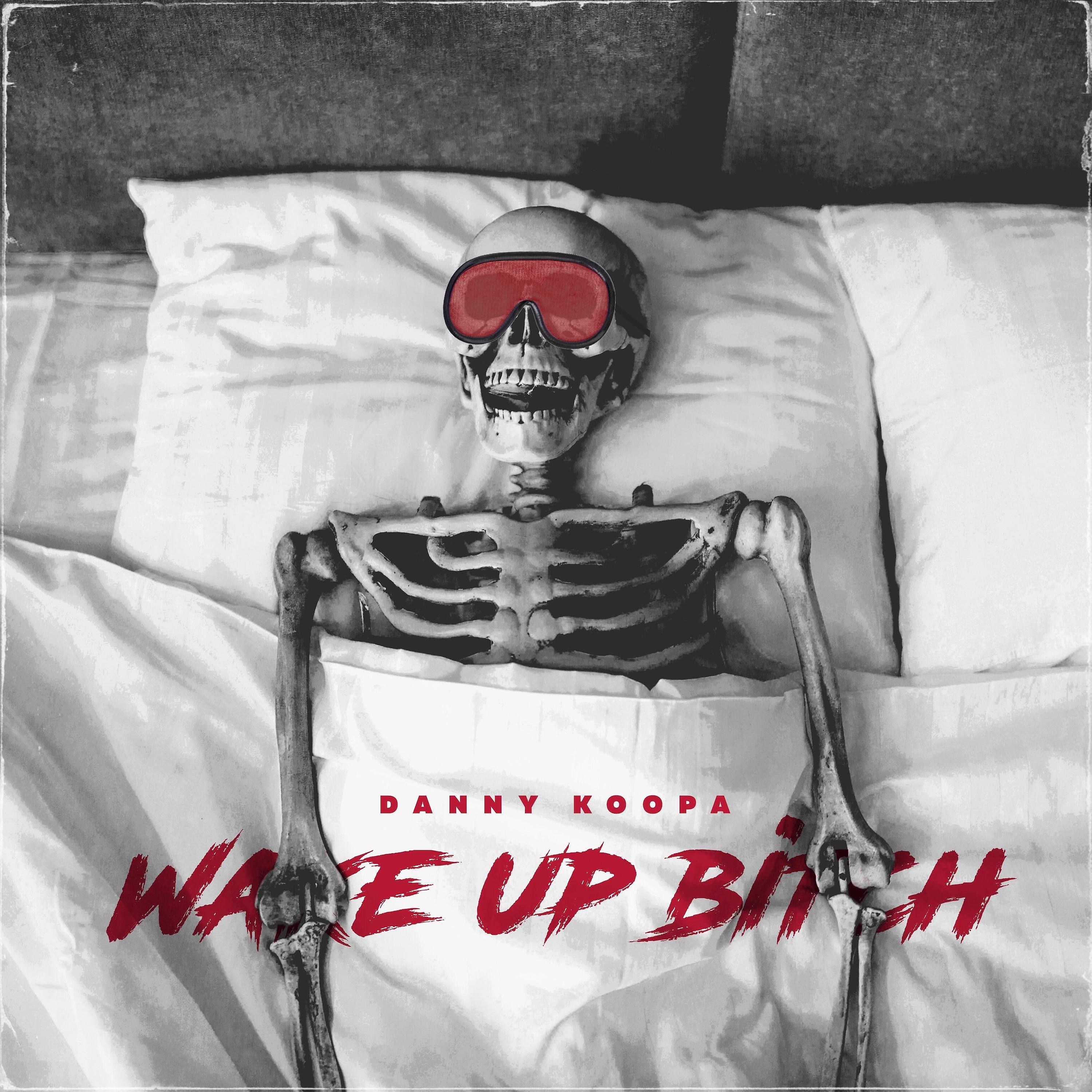 Постер альбома Wake Up Bitch