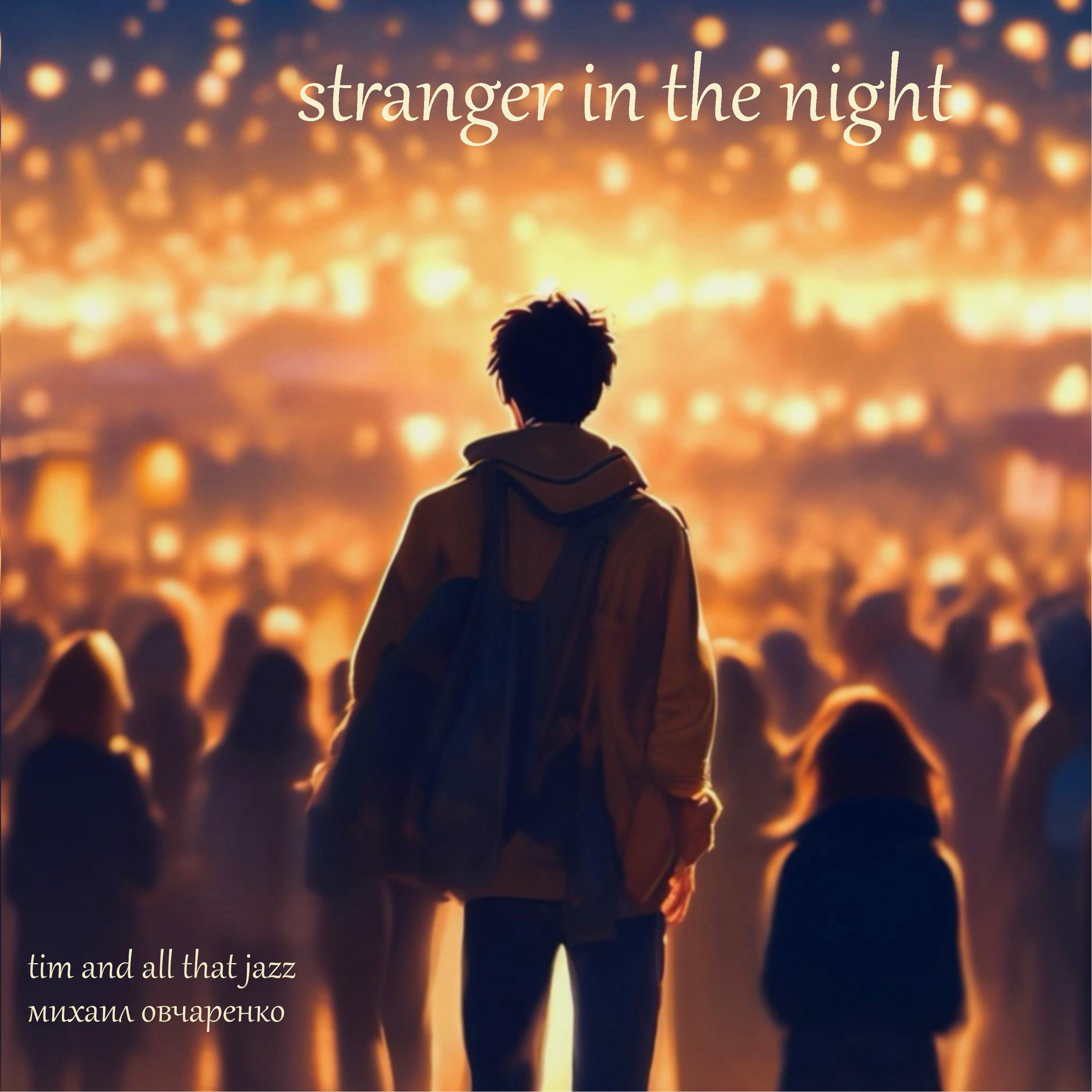 Постер альбома Stranger in the Night
