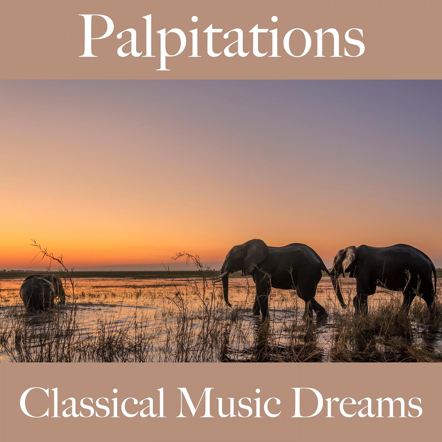 Постер альбома Palpitations: Classical Music Dreams - La Meilleure Musique Pour Les Moments À Deux