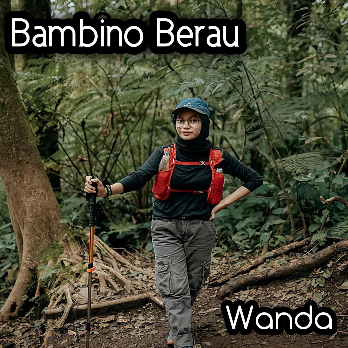 Постер альбома Bambino Berau