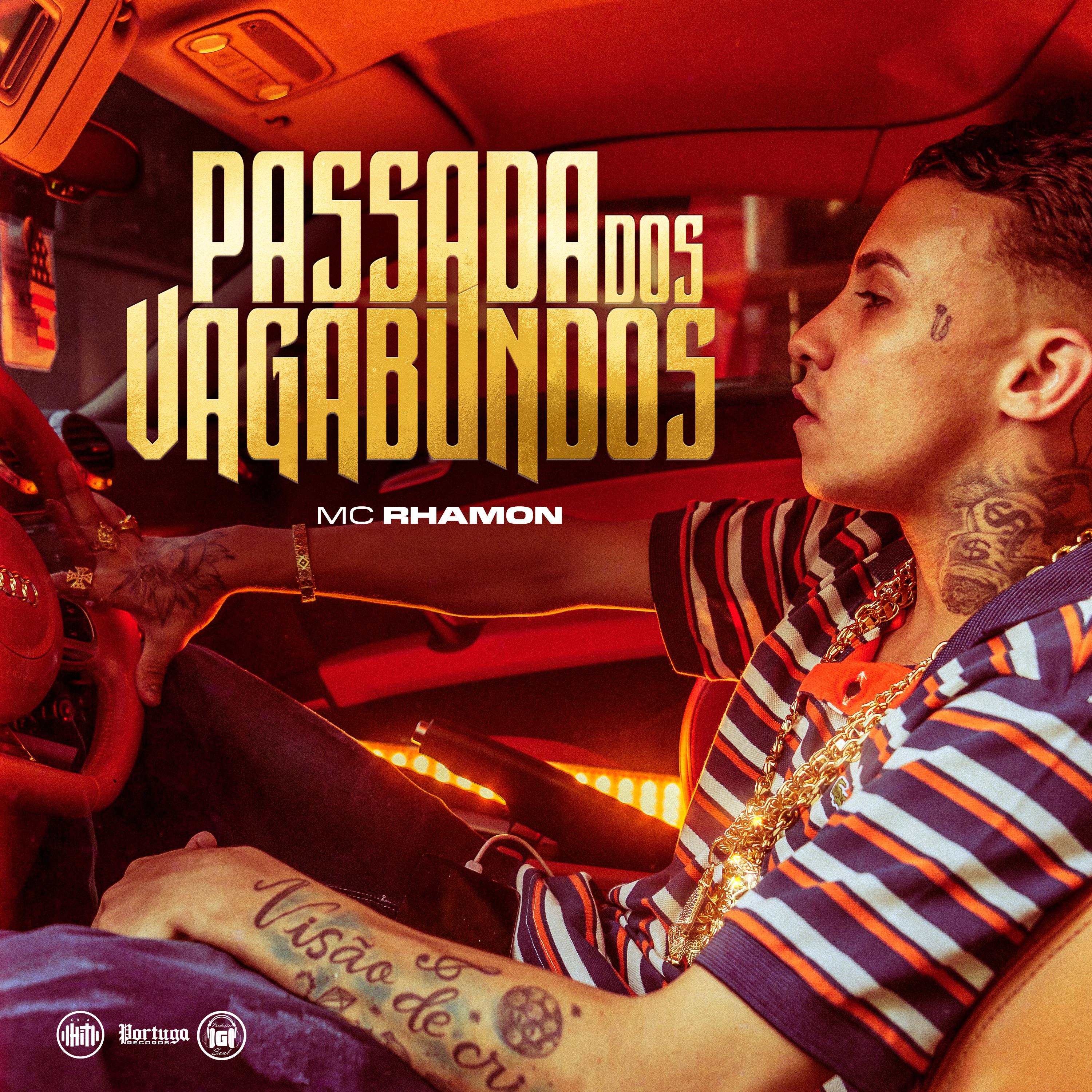 Постер альбома Passada dos Vagabundo