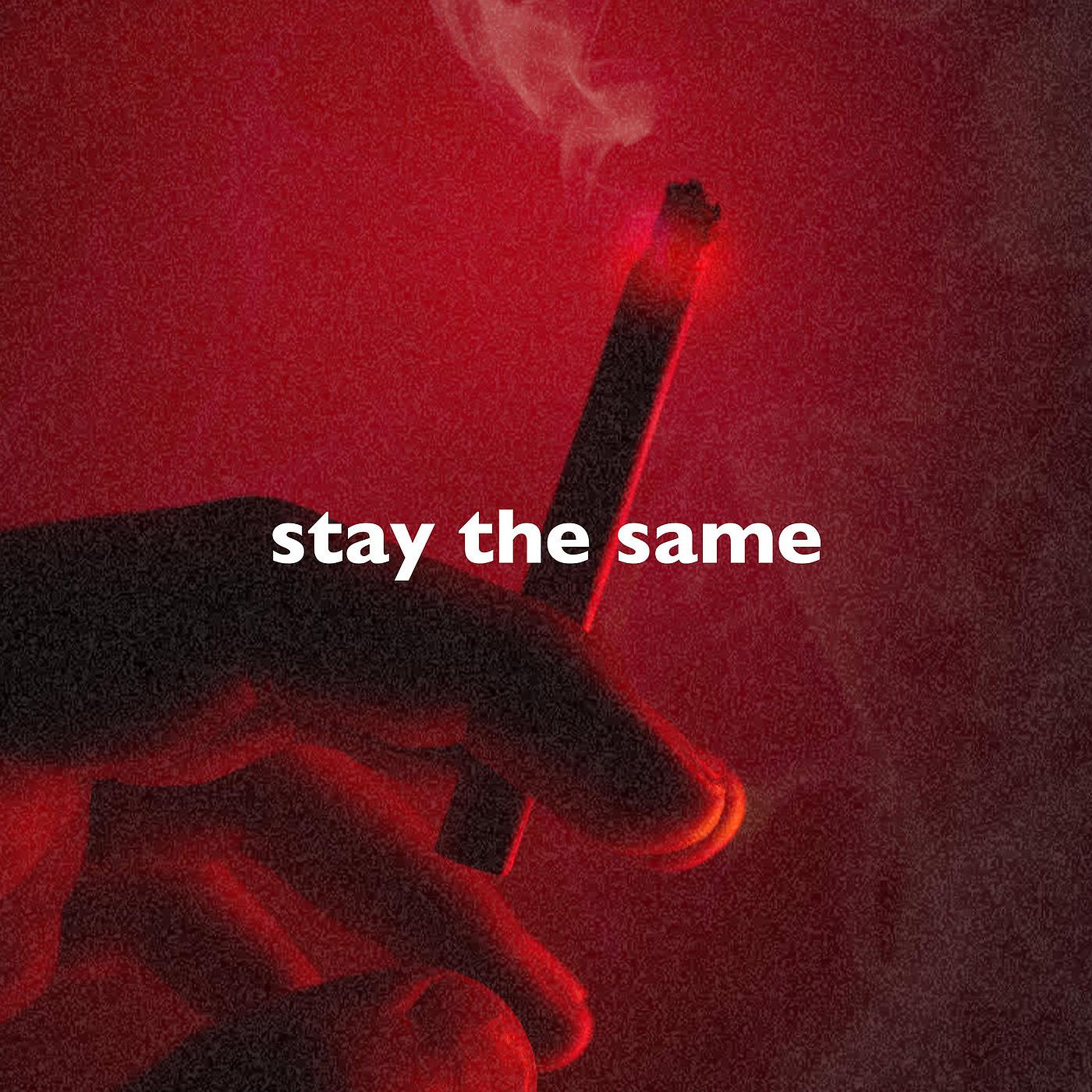 Постер альбома Stay the Same (Slowed + Reverb)