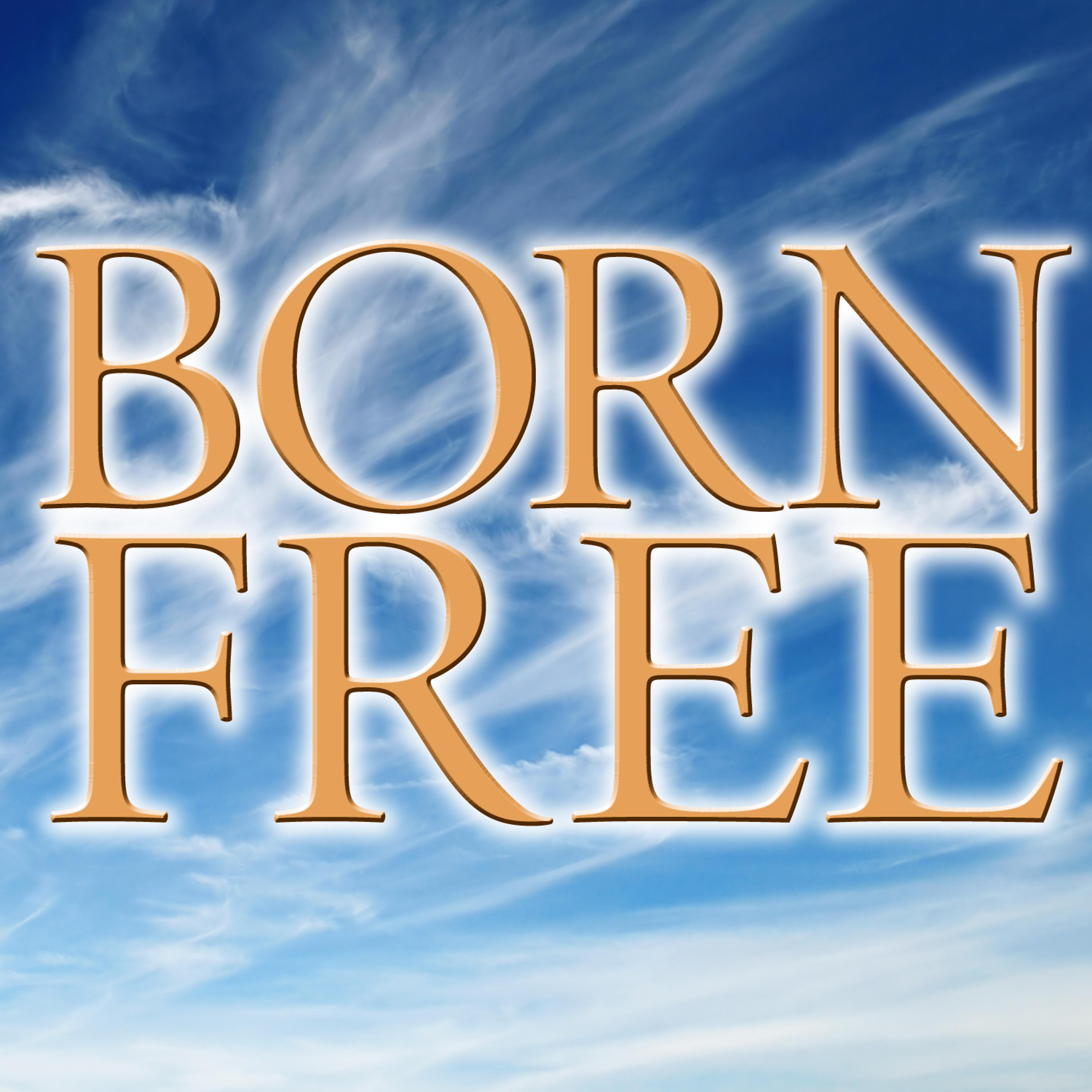 Постер альбома Born Free Single