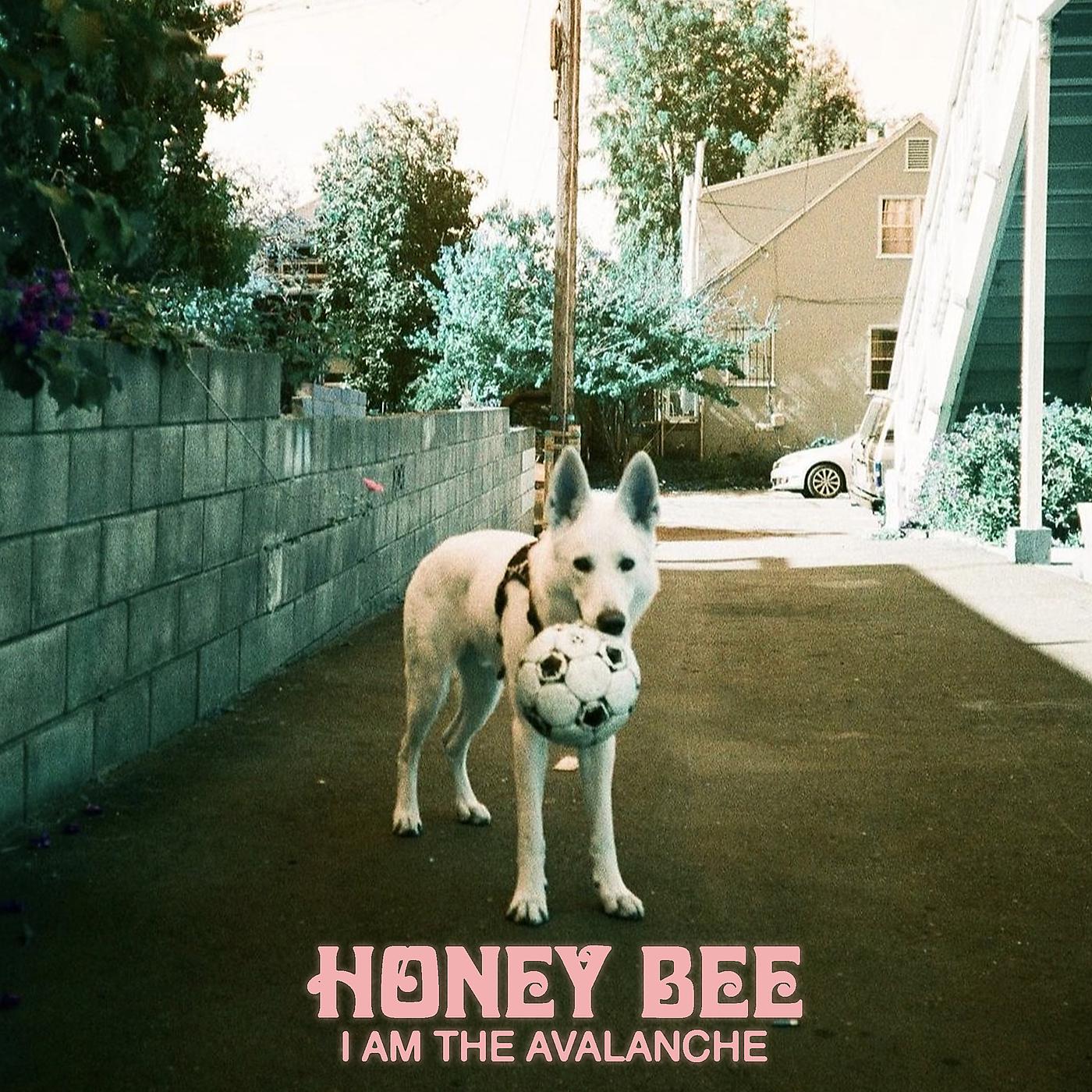 Постер альбома Honey Bee