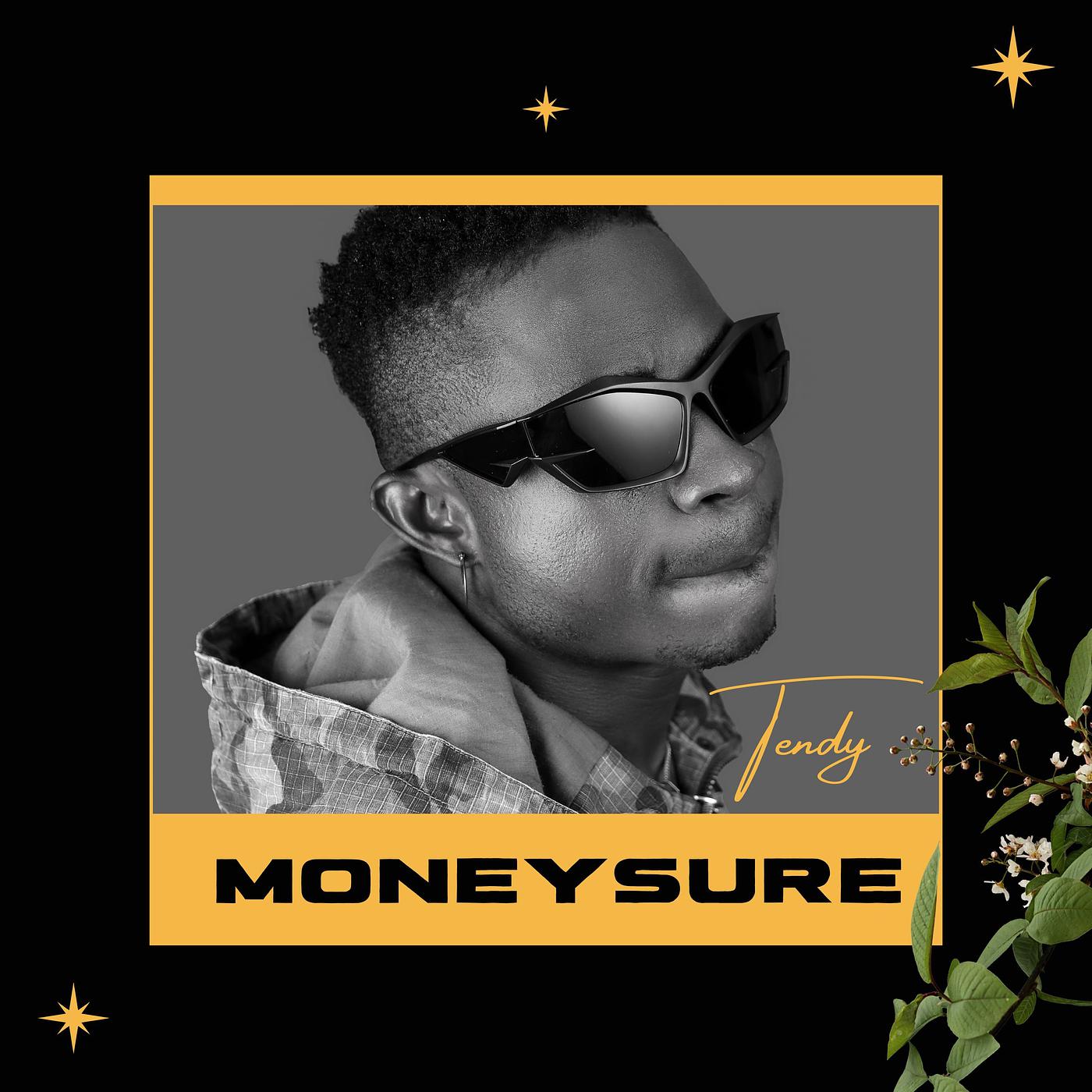 Постер альбома Moneysure