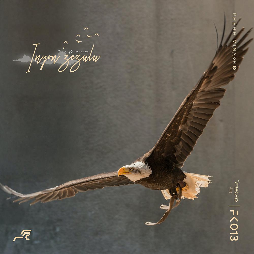 Постер альбома Inyon'zezulu (The eagle scream)