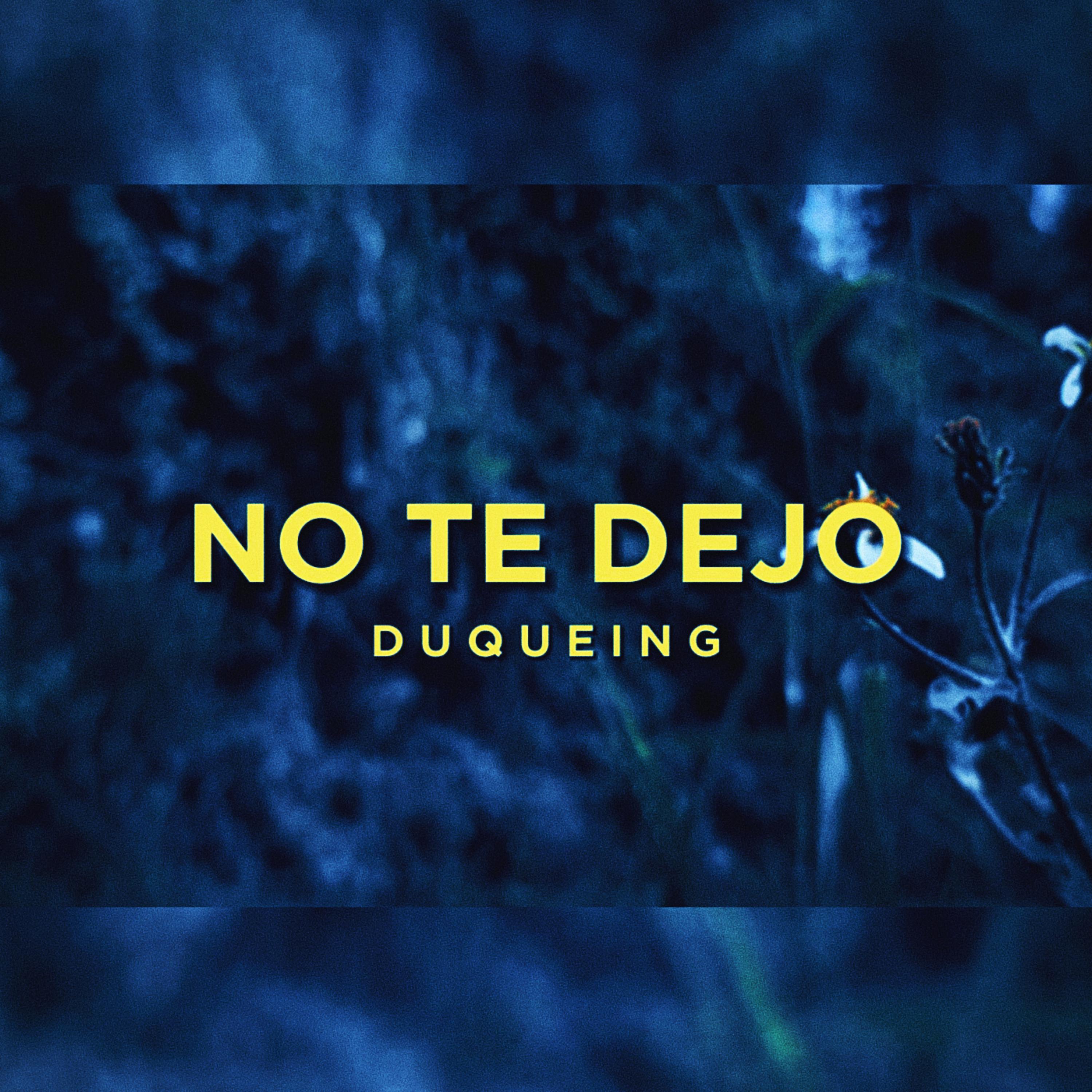 Постер альбома No Te Dejo