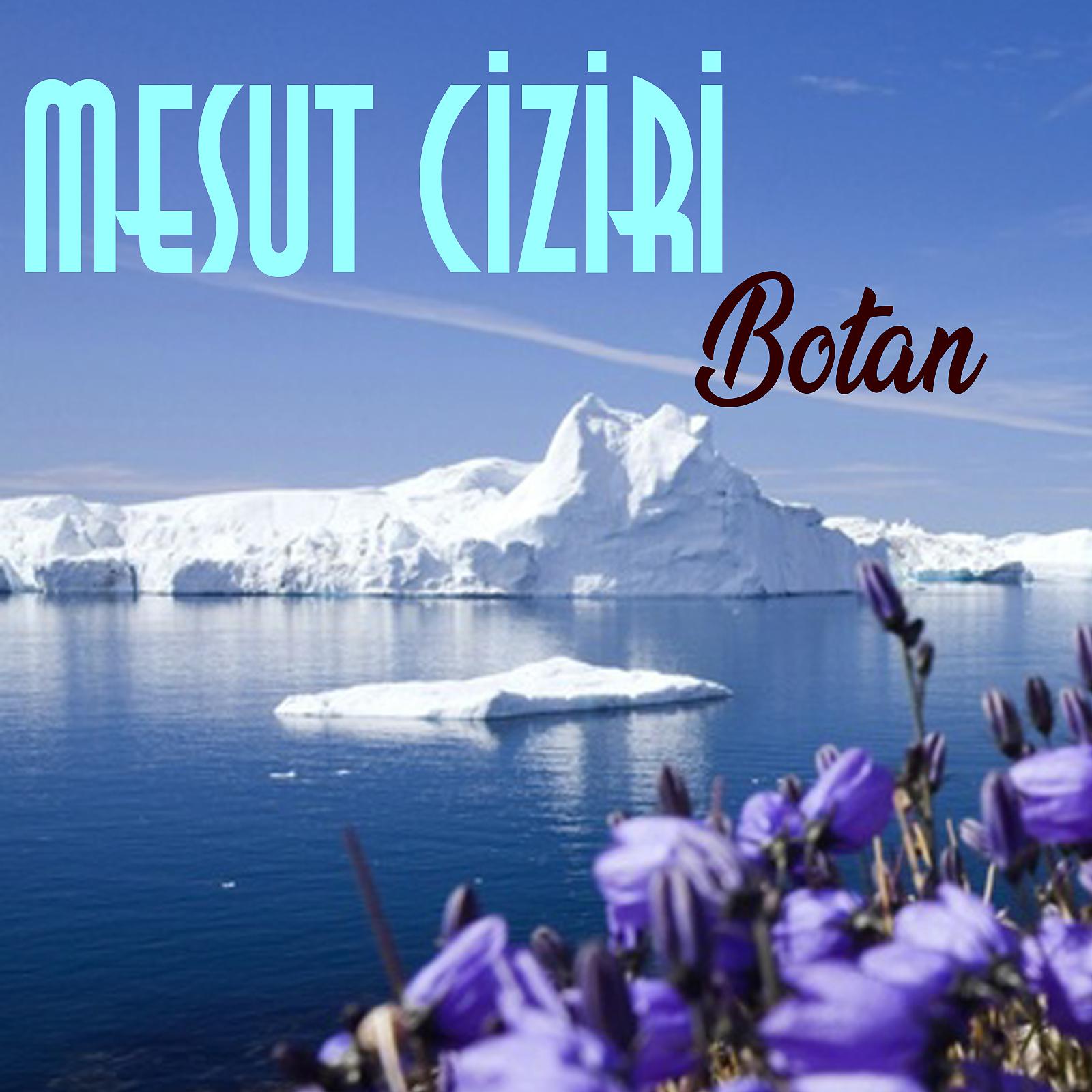 Постер альбома Botan