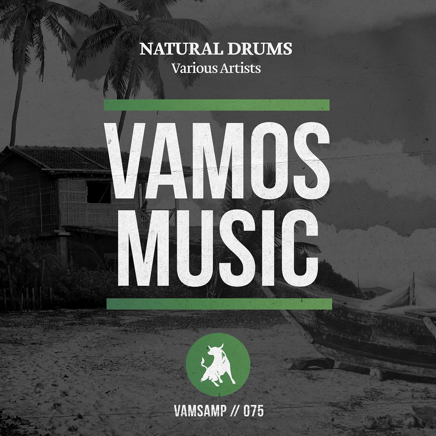 Постер альбома Natural Drums