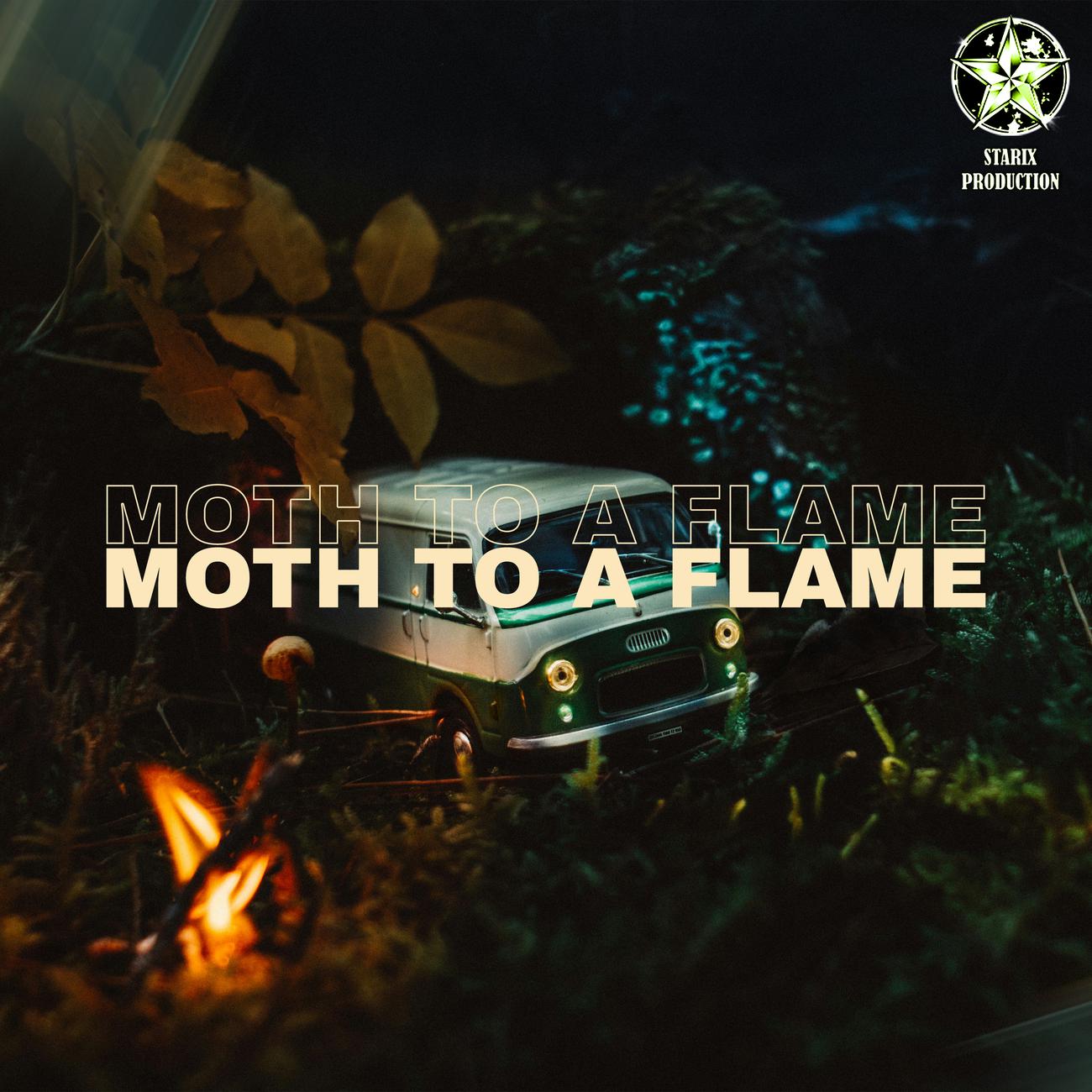 Постер альбома Moth To A Flame