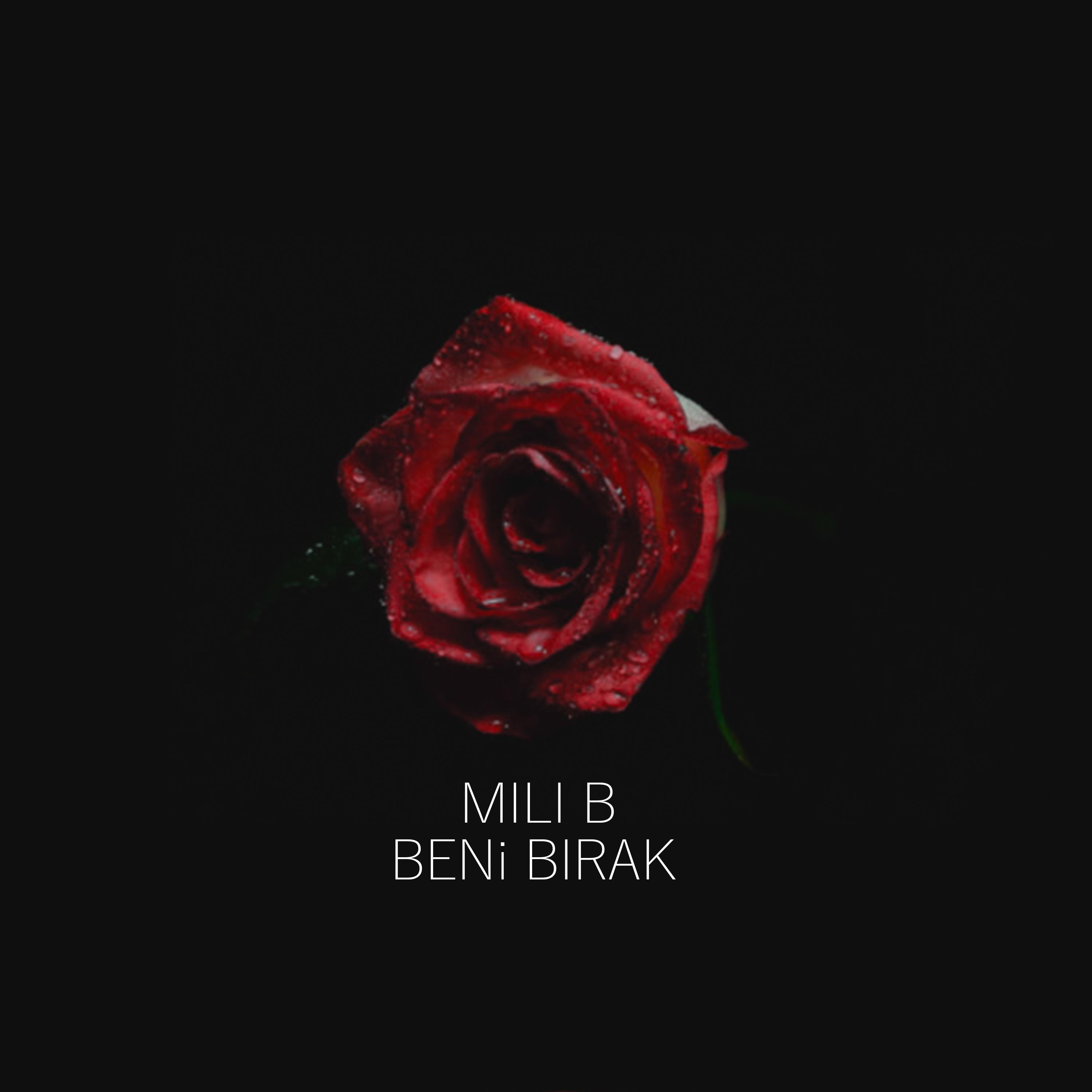 Постер альбома Beni Bırak