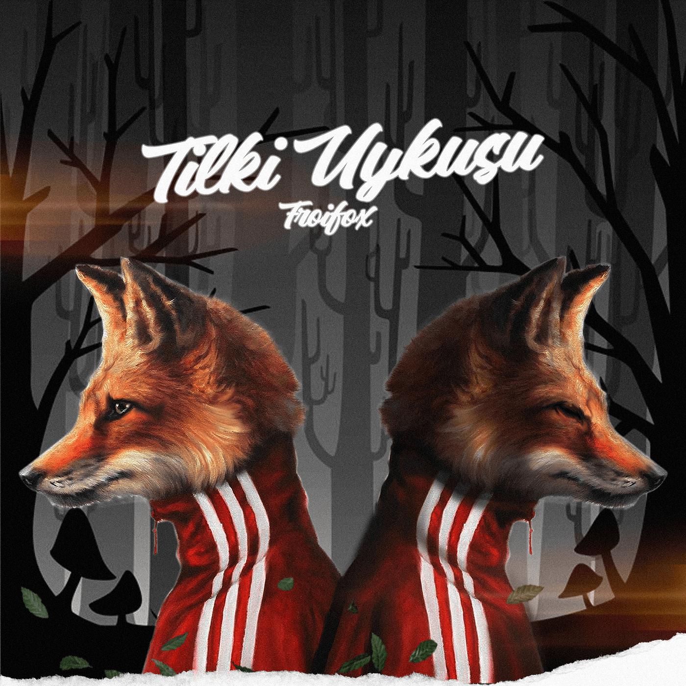 Постер альбома Tilki Uykusu