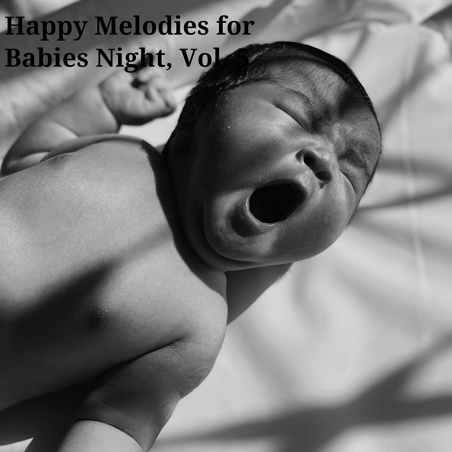 Постер альбома Happy Melodies for Babies Night, Vol. 5