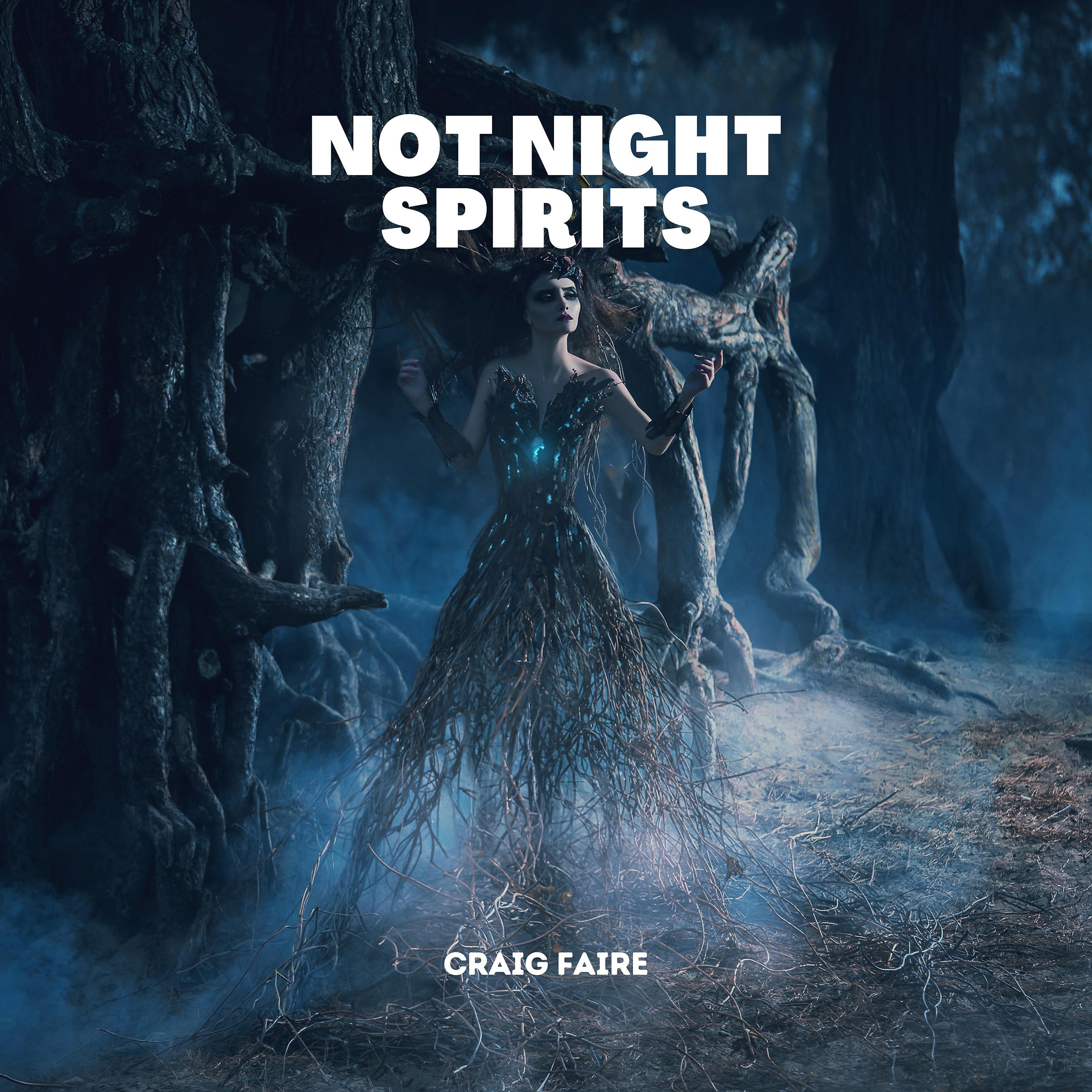 Постер альбома Not Night Spirits