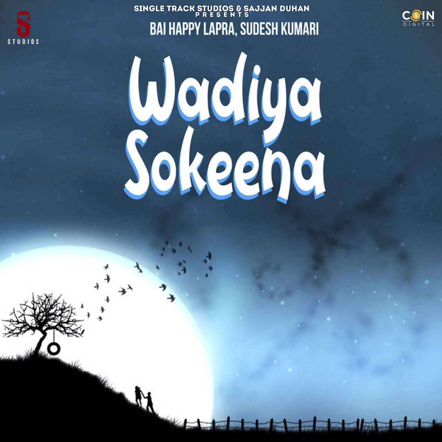 Постер альбома Wadiya Sokeena