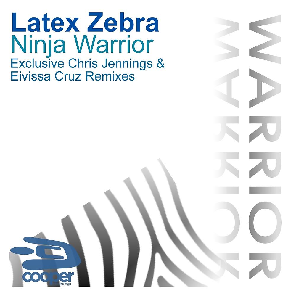 Постер альбома Ninja Warrior