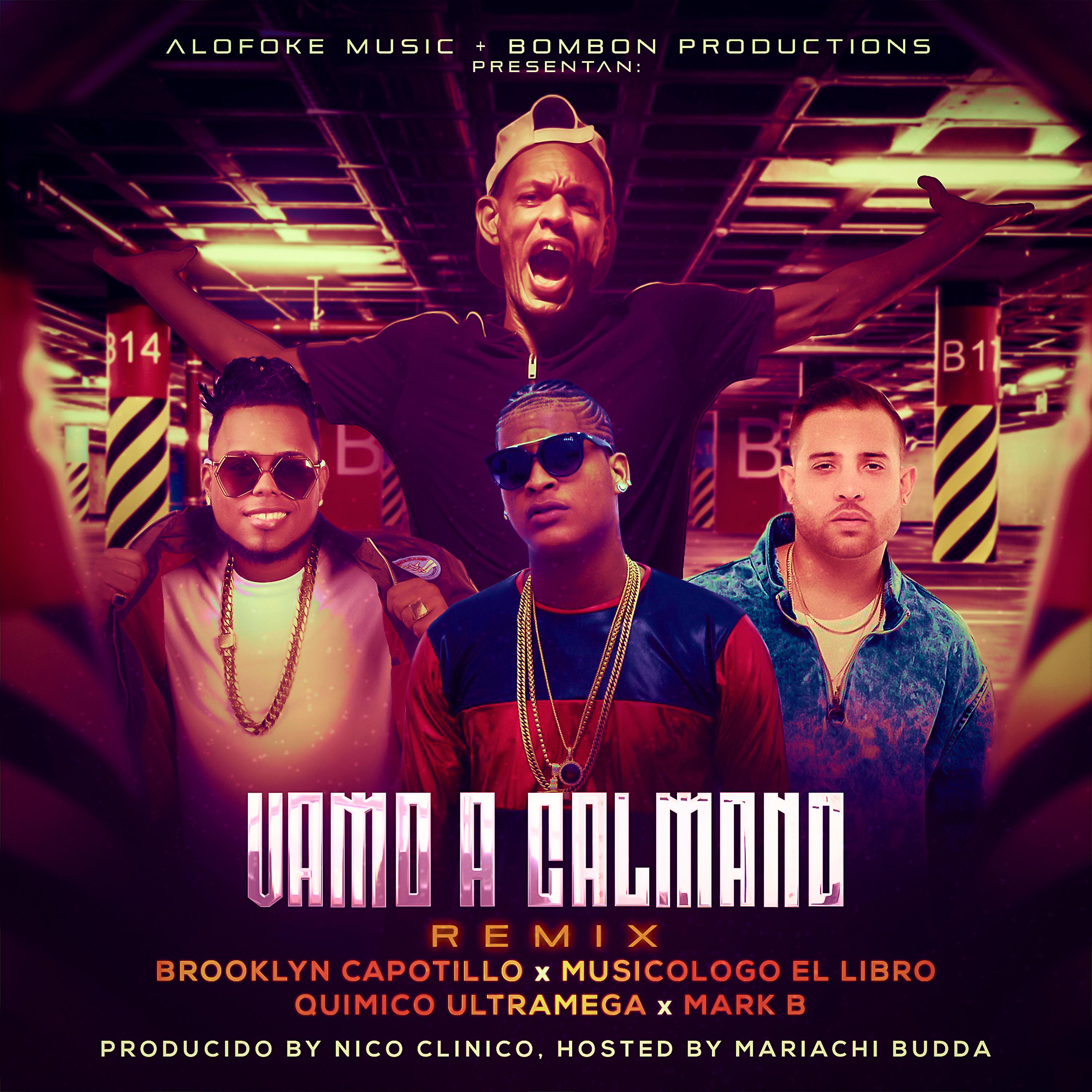 Постер альбома Vamo a Calmano (Remix)