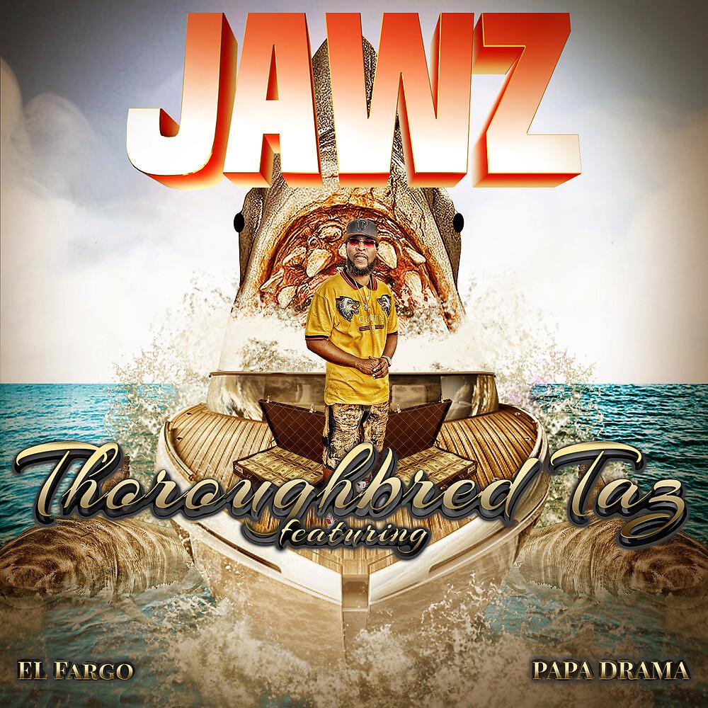 Постер альбома Jawz