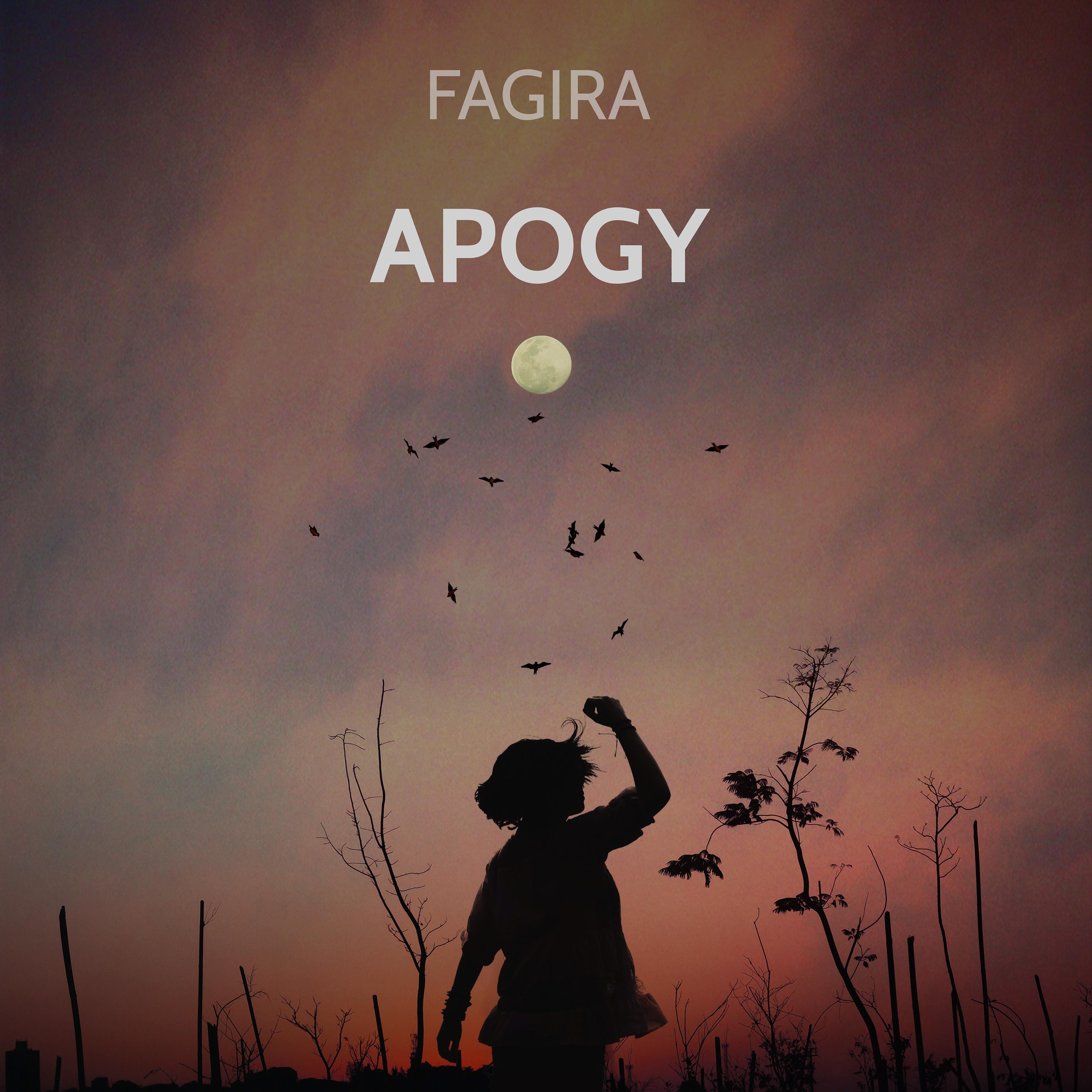 Постер альбома Apogy