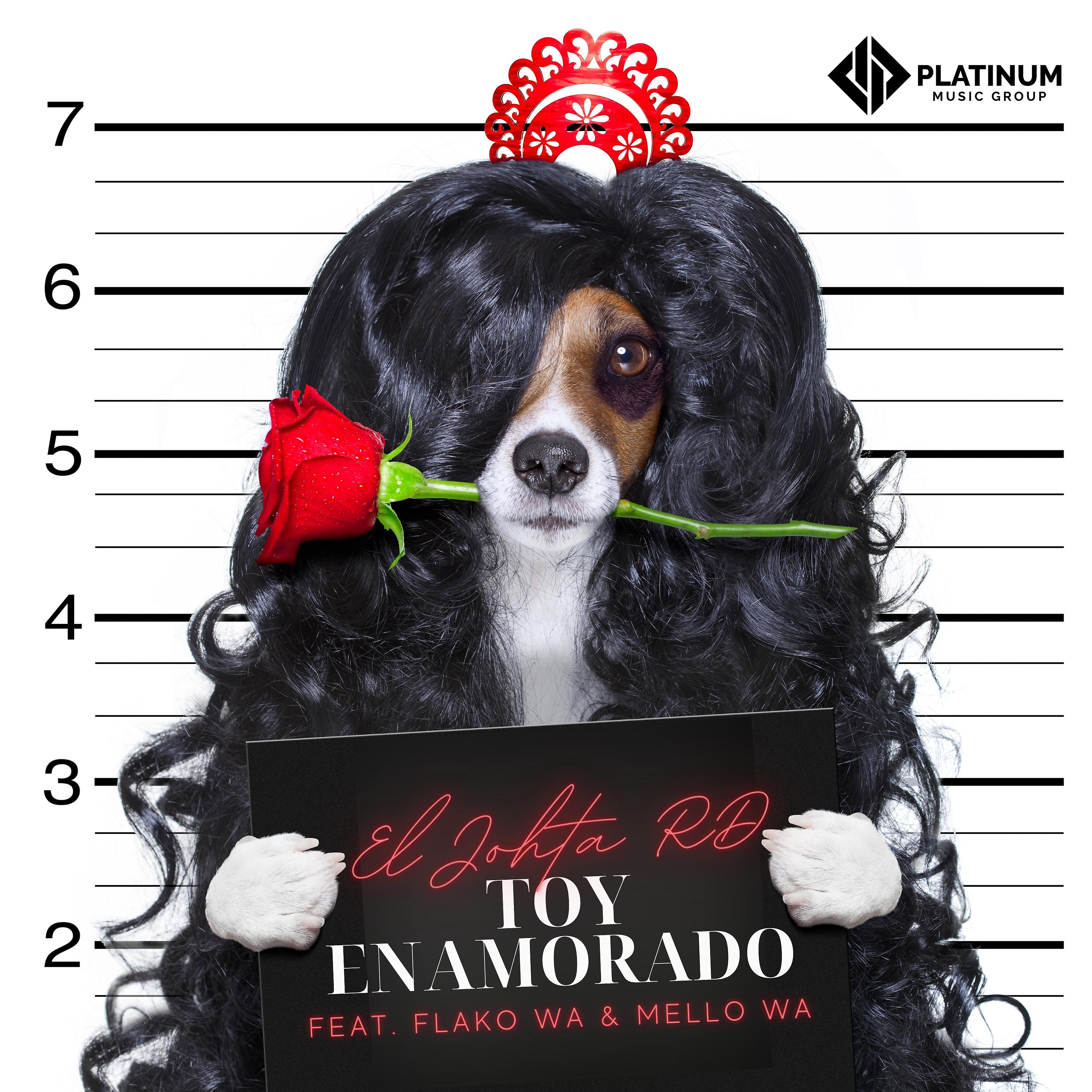 Постер альбома Toy Enamorado