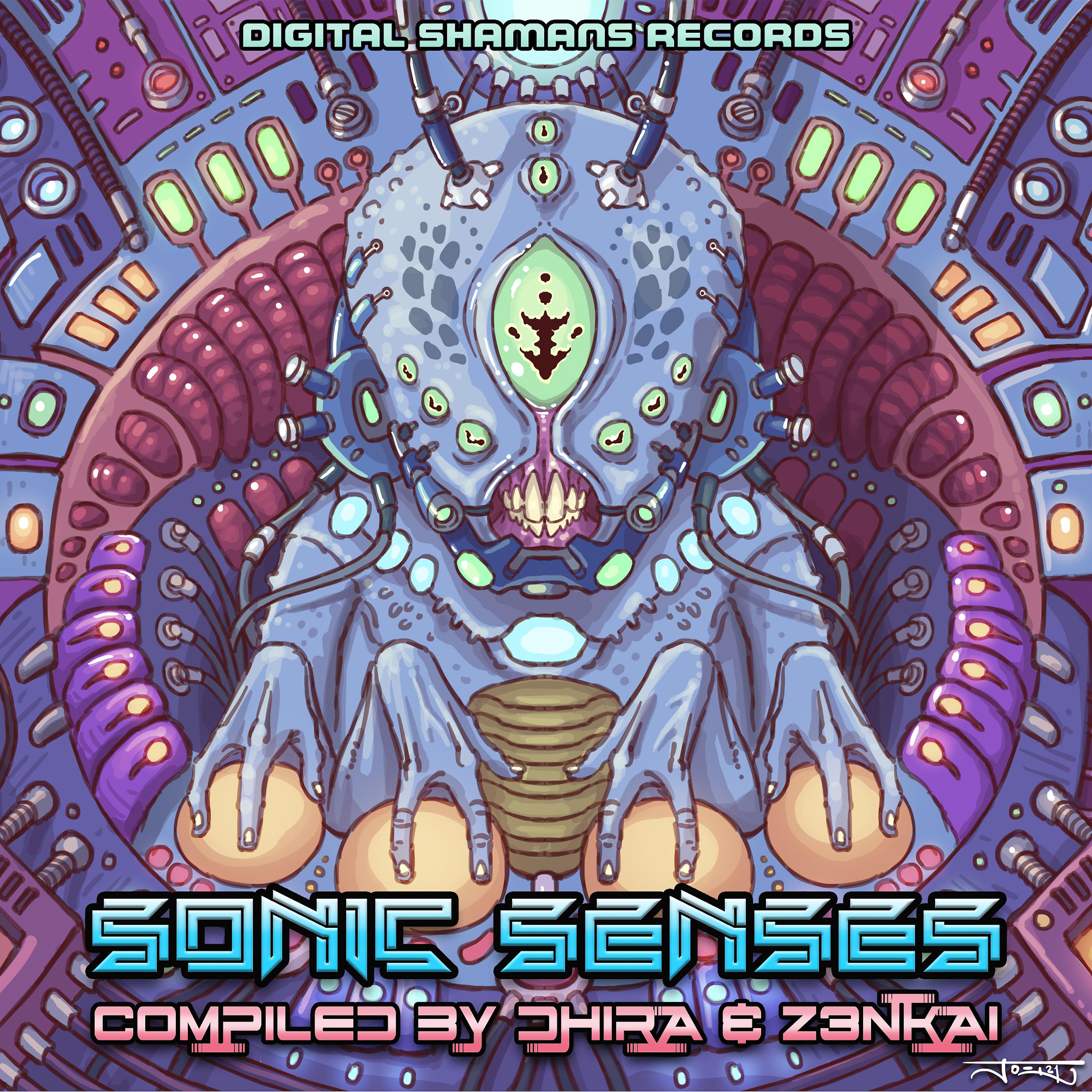 Постер альбома Sonic Senses - Compiled by Dhira & Z3nkai