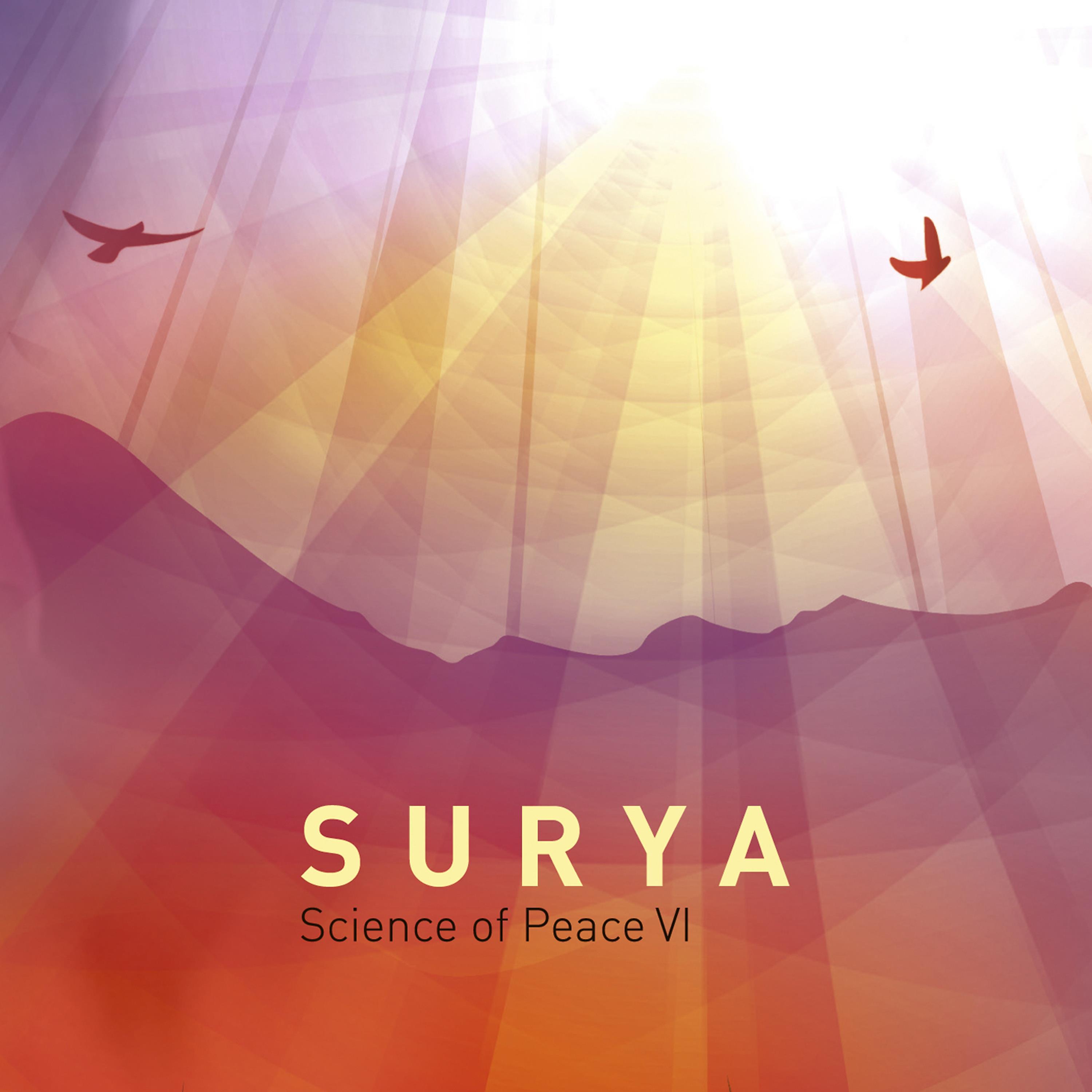 Постер альбома Surya: Science Of Peace VI