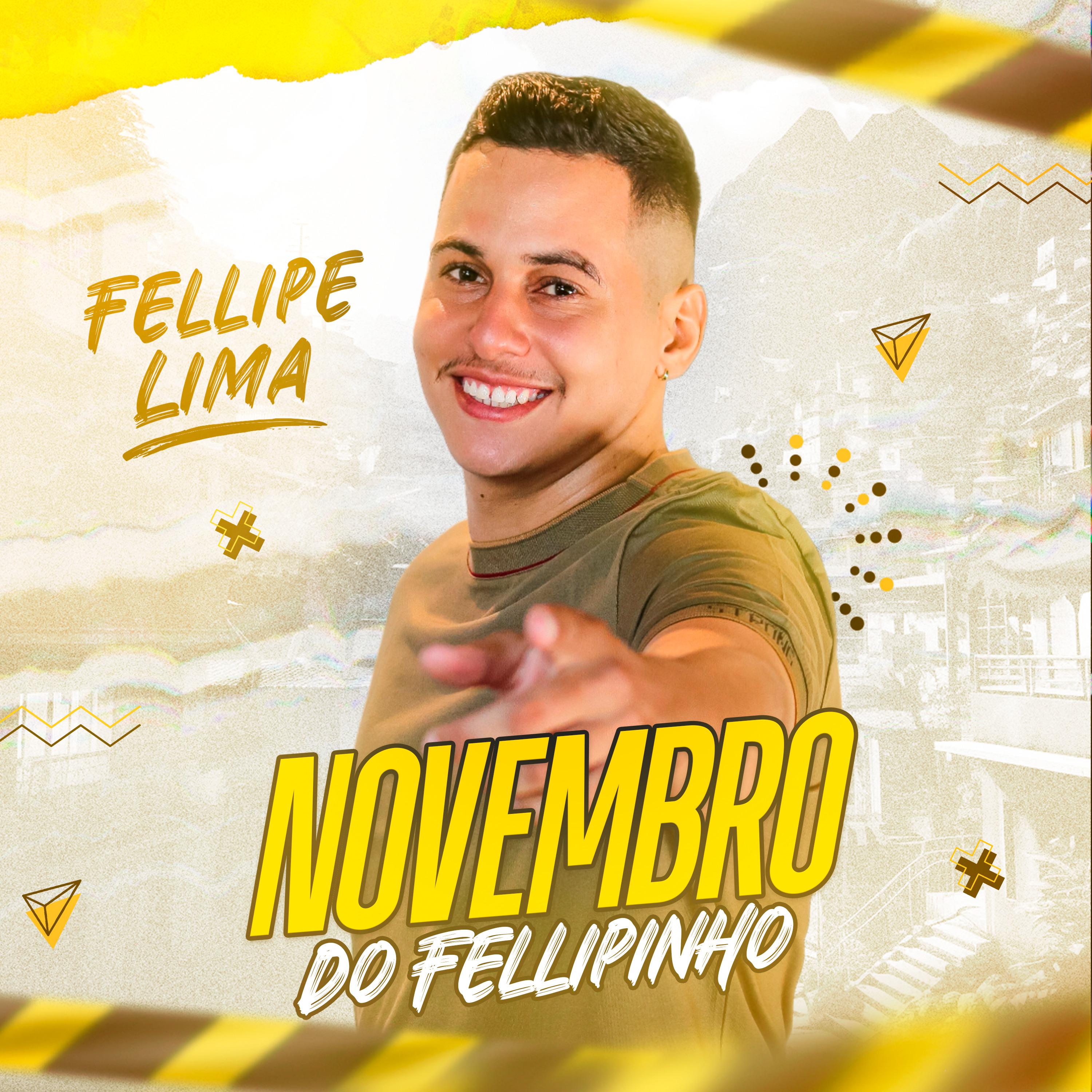 Постер альбома Novembro do Fellipinho