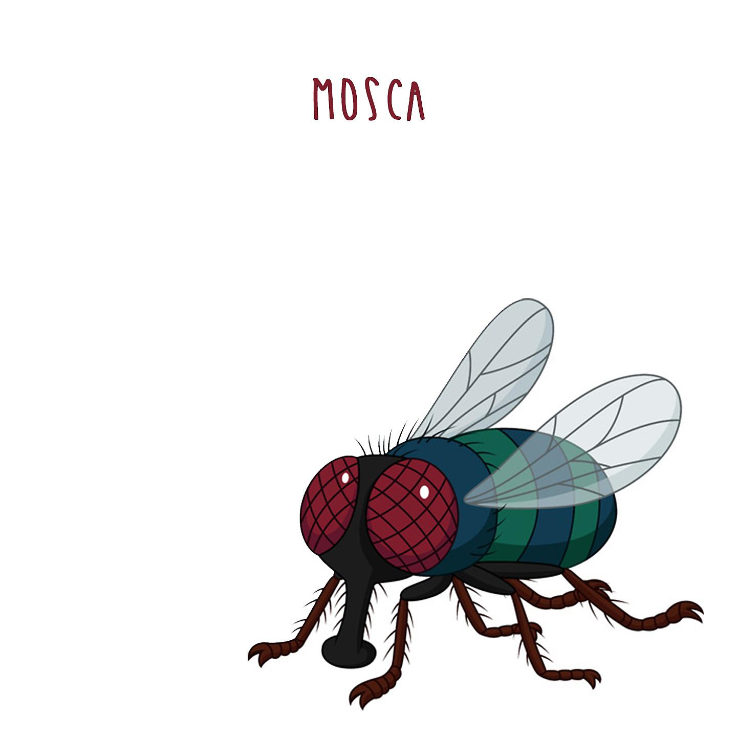 Постер альбома Mosca