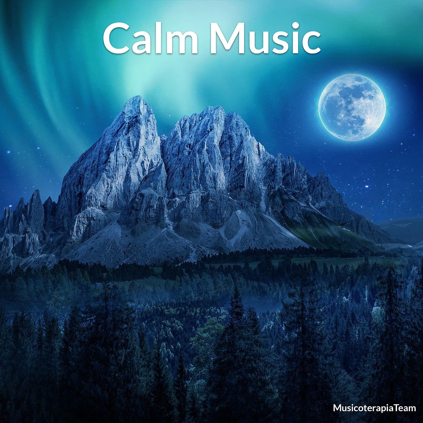Постер альбома Calm Music