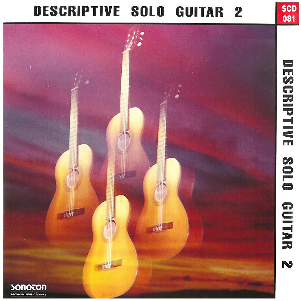 Постер альбома Descriptive Solo Guitar, Vol. 2