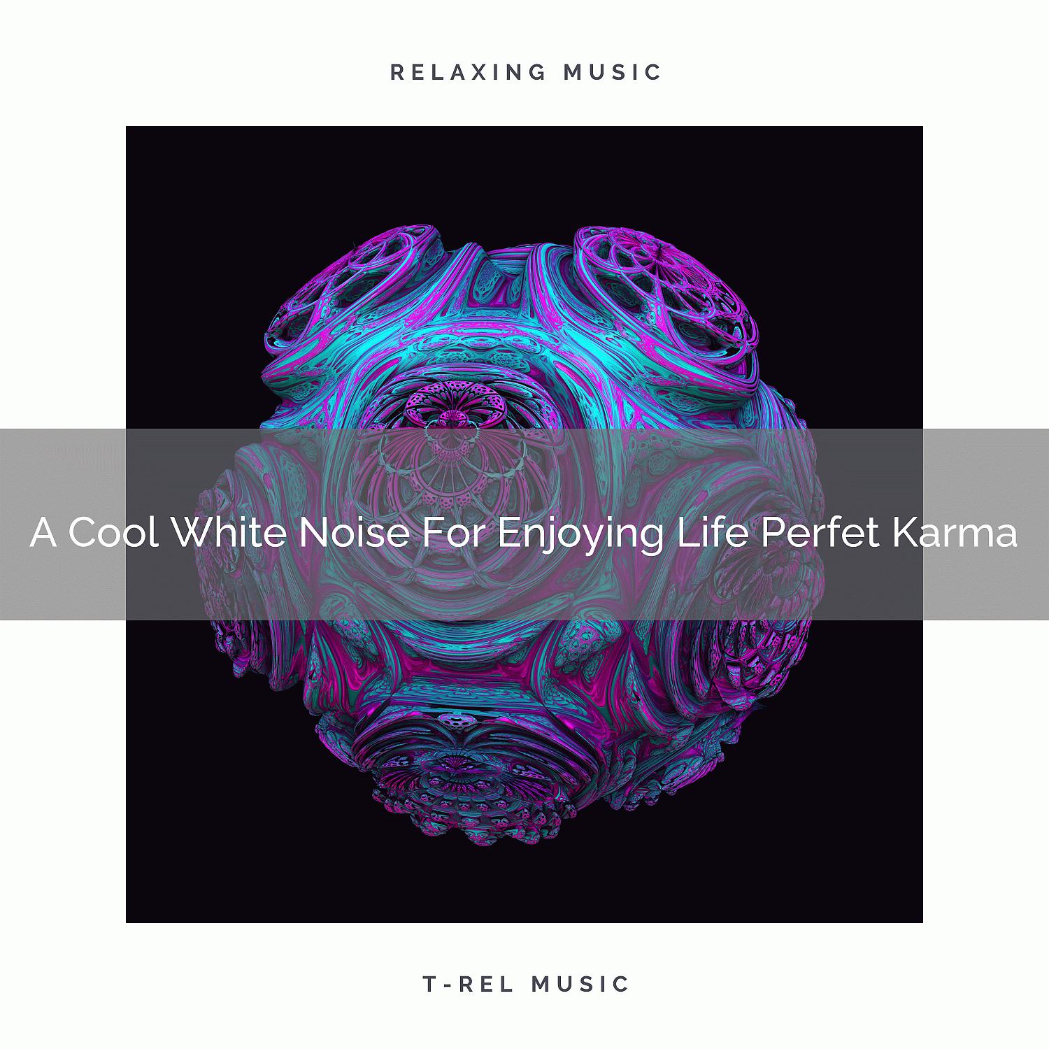 Постер альбома A Cool White Noise For Enjoying Life Perfet Karma