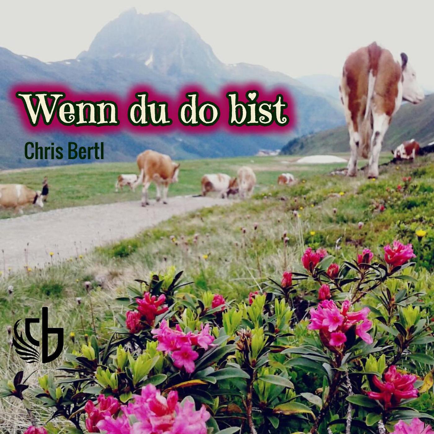 Постер альбома Wenn Du Do Bist