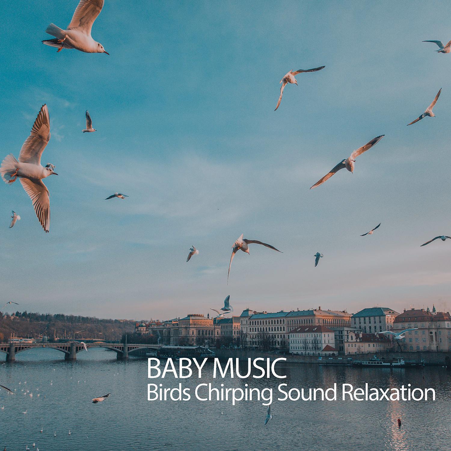 Постер альбома Baby Music: Birds Chirping Sound Relaxation