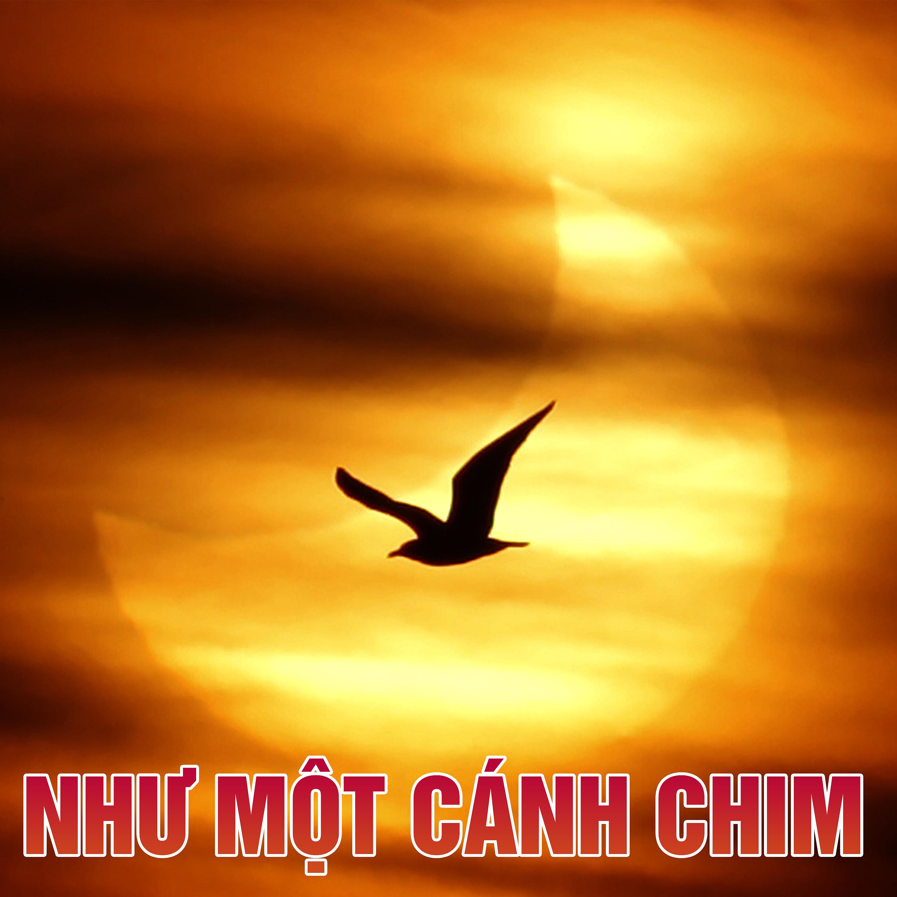 Постер альбома Như Một Cánh Chim