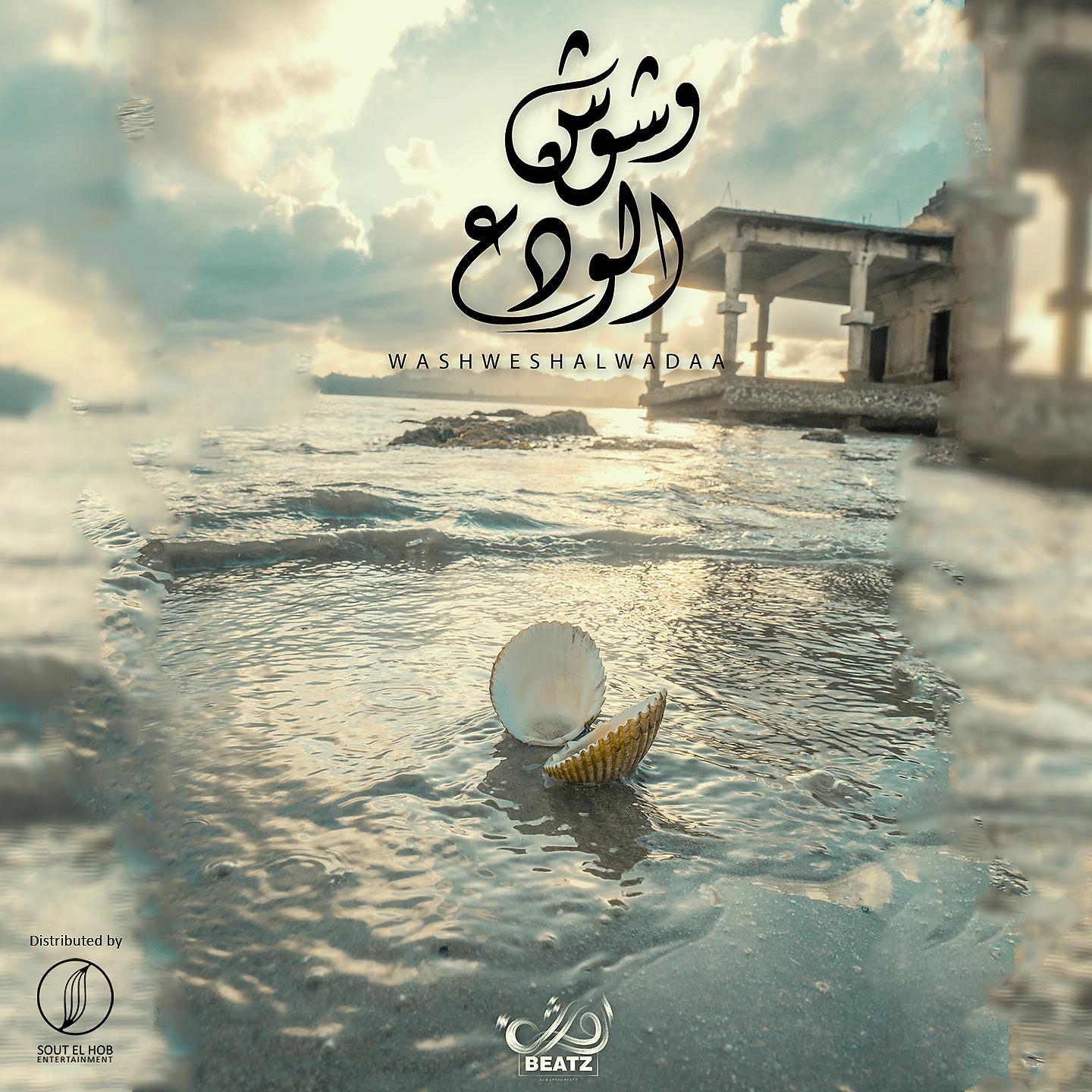 Постер альбома Washwesh Alwadaa