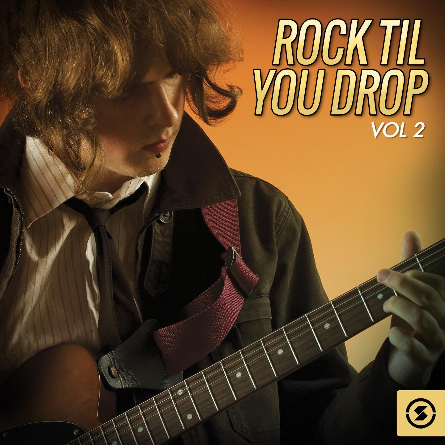 Постер альбома Rock 'Til You Drop, Vol. 2