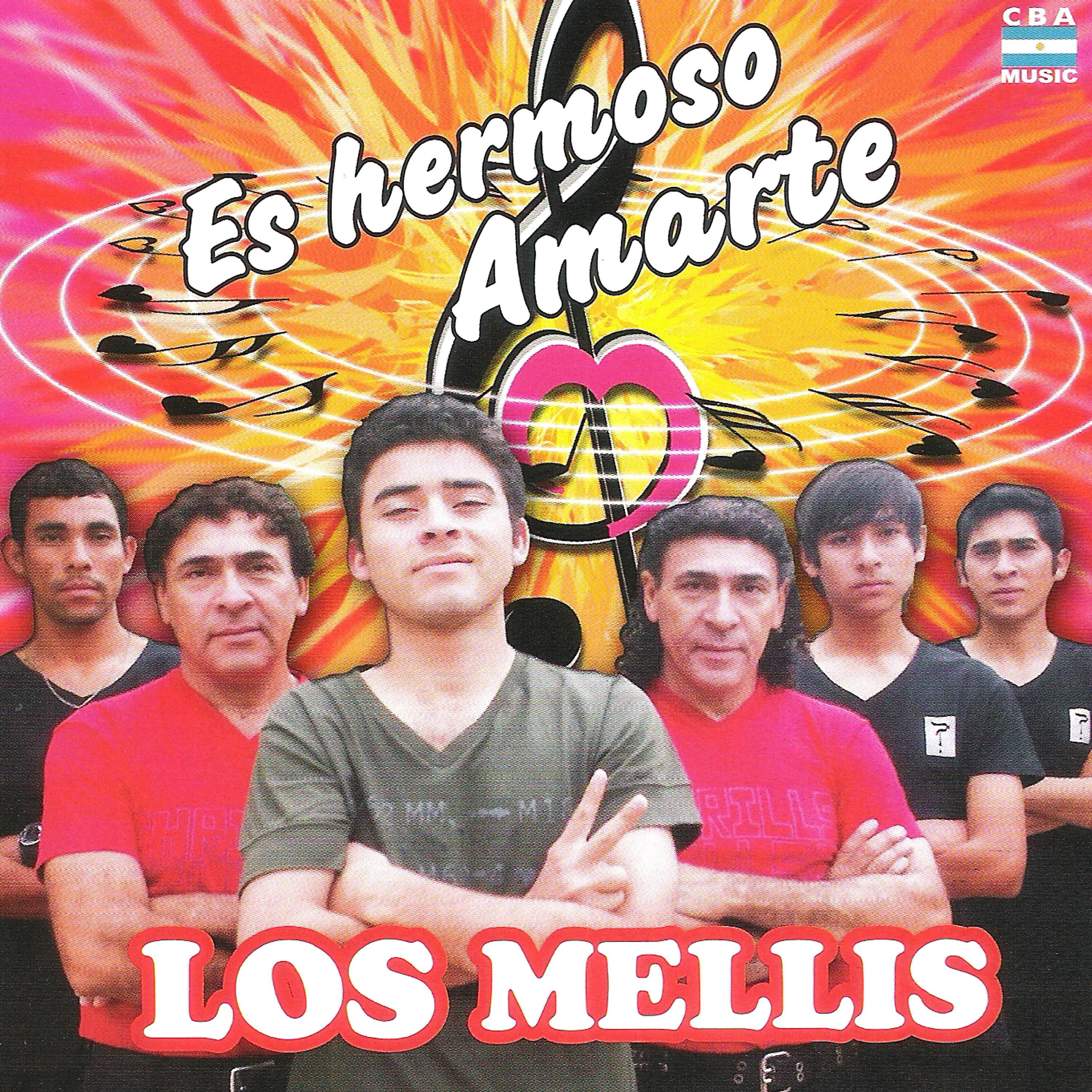 Постер альбома Es Hermoso Amarte