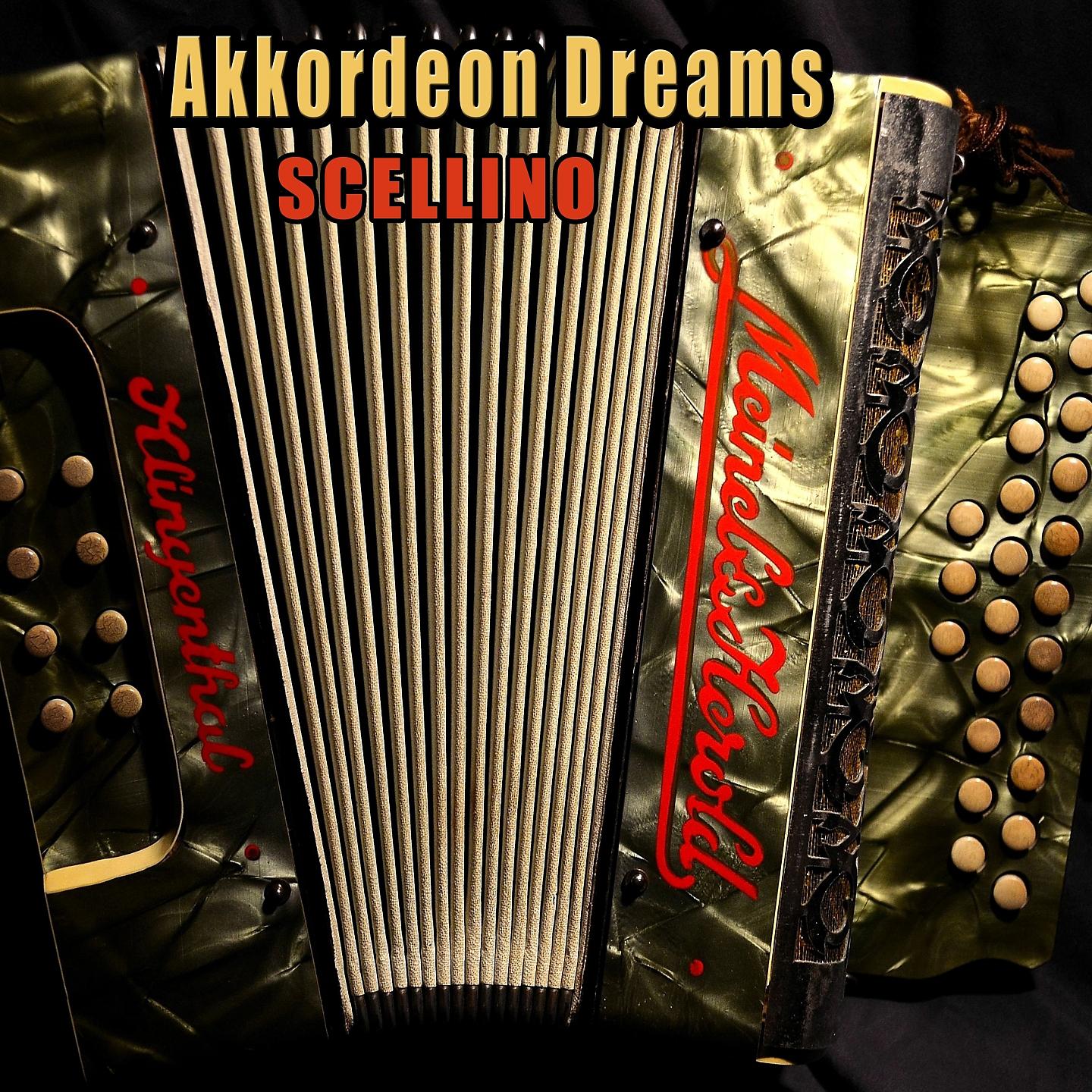 Постер альбома Akkordeon Dreams