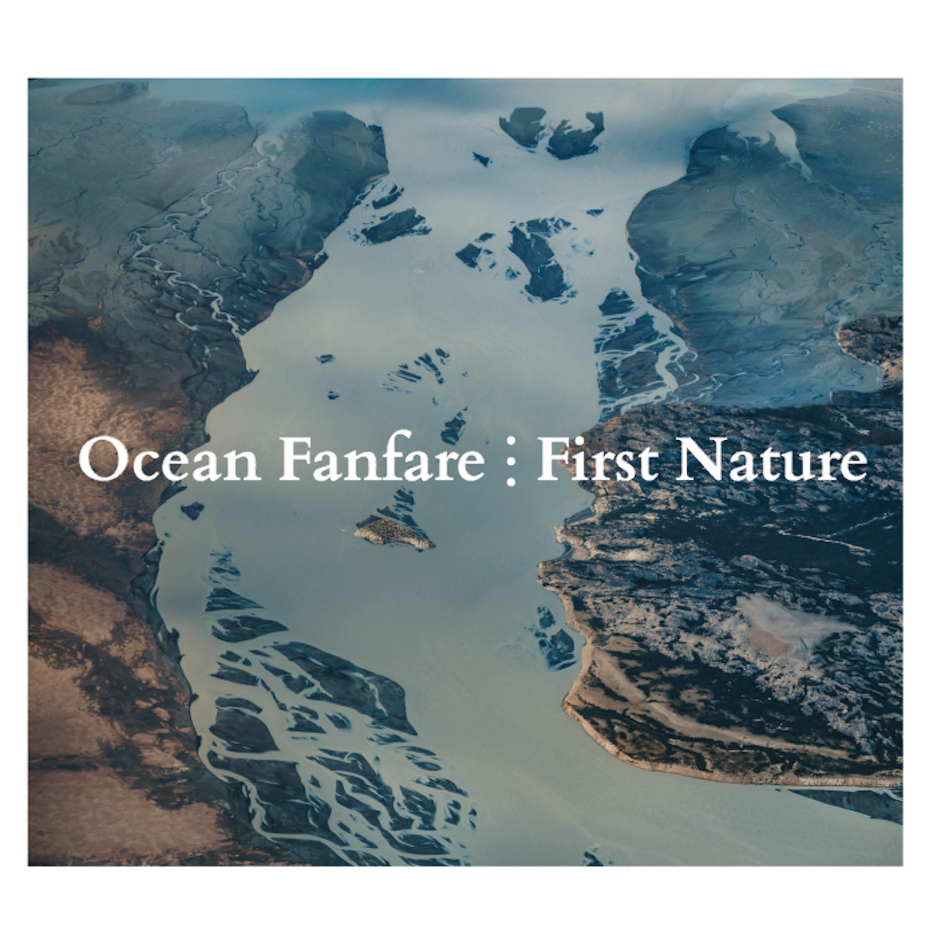 Постер альбома First Nature