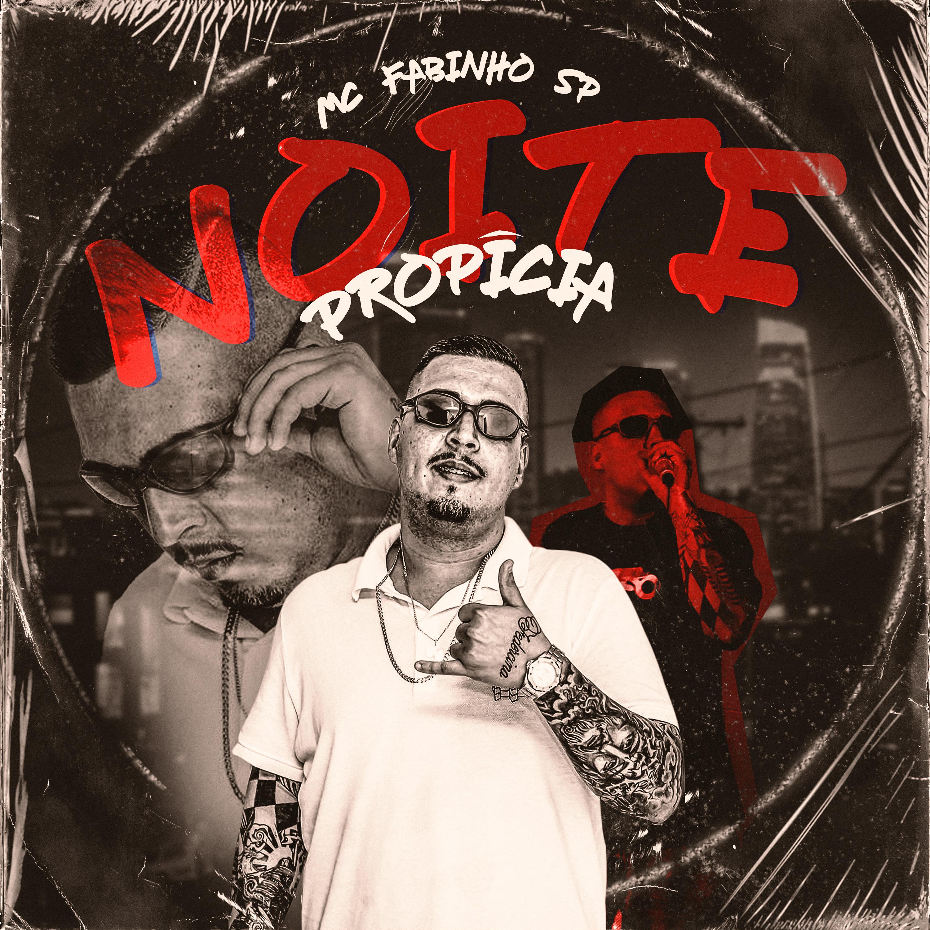 Постер альбома Noite Propícia