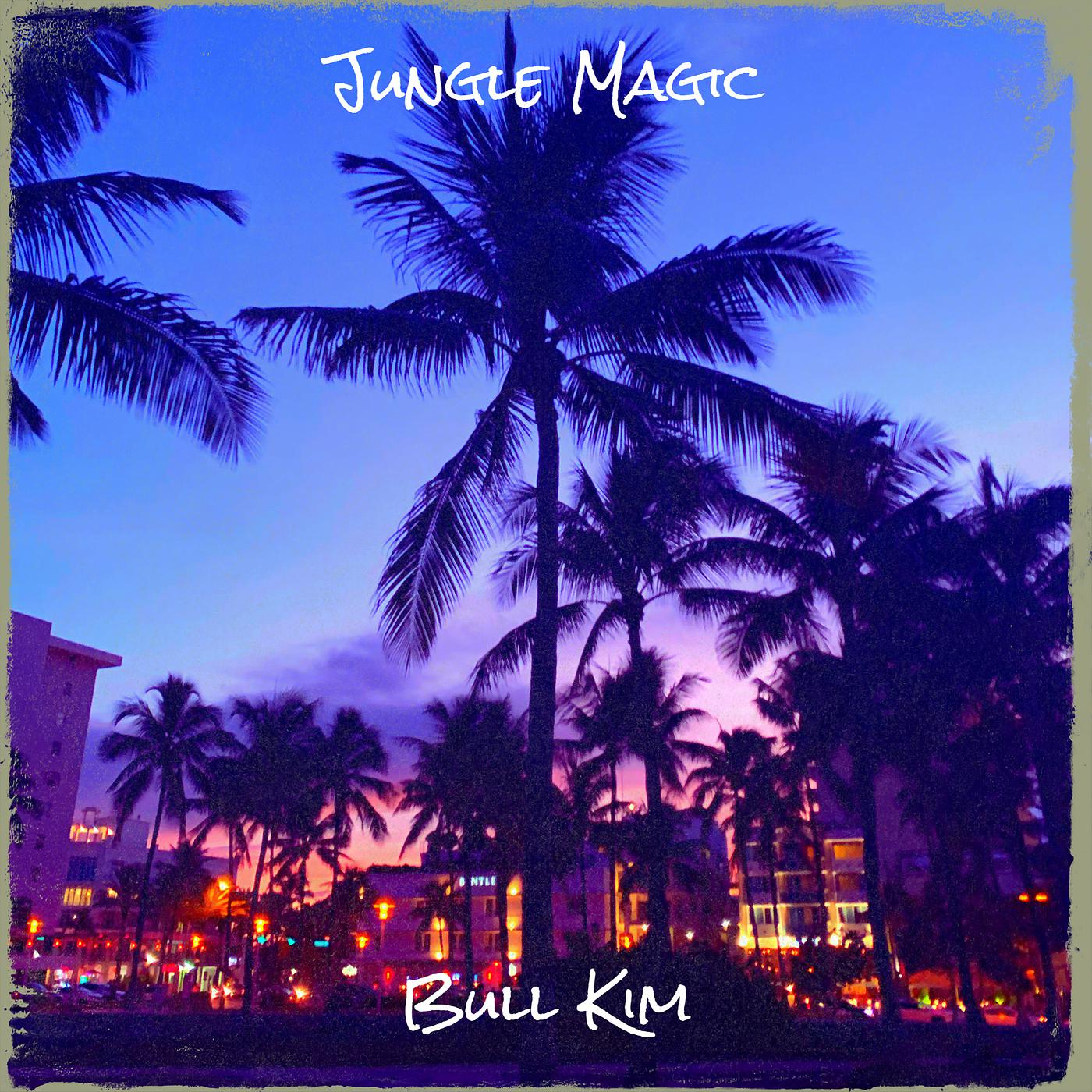 Постер альбома Jungle Magic